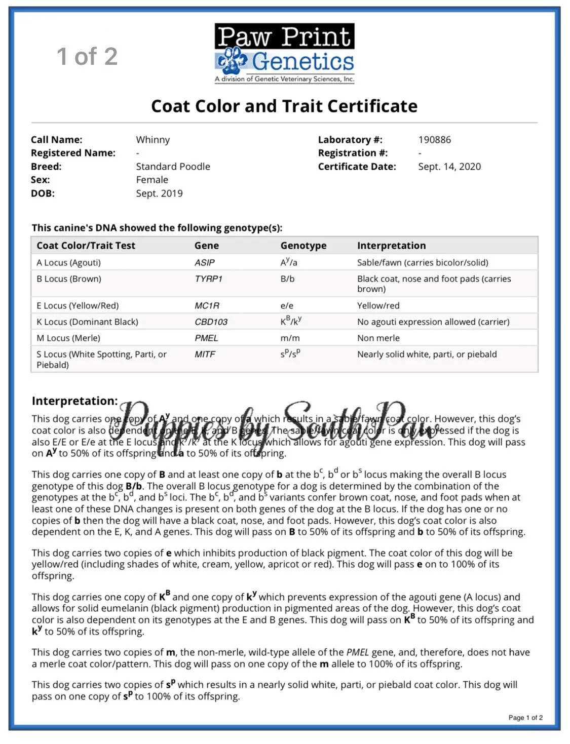Genetic Color Results