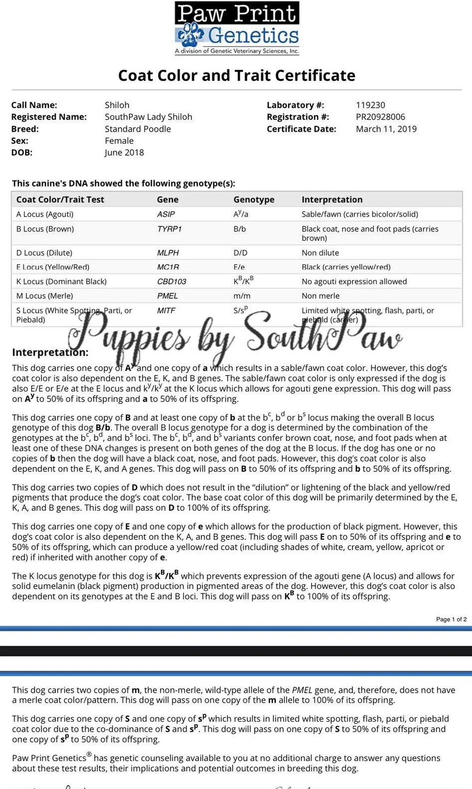 Genetic Color Results