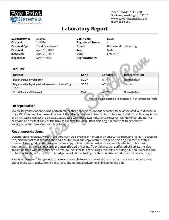 Genetic Health Results