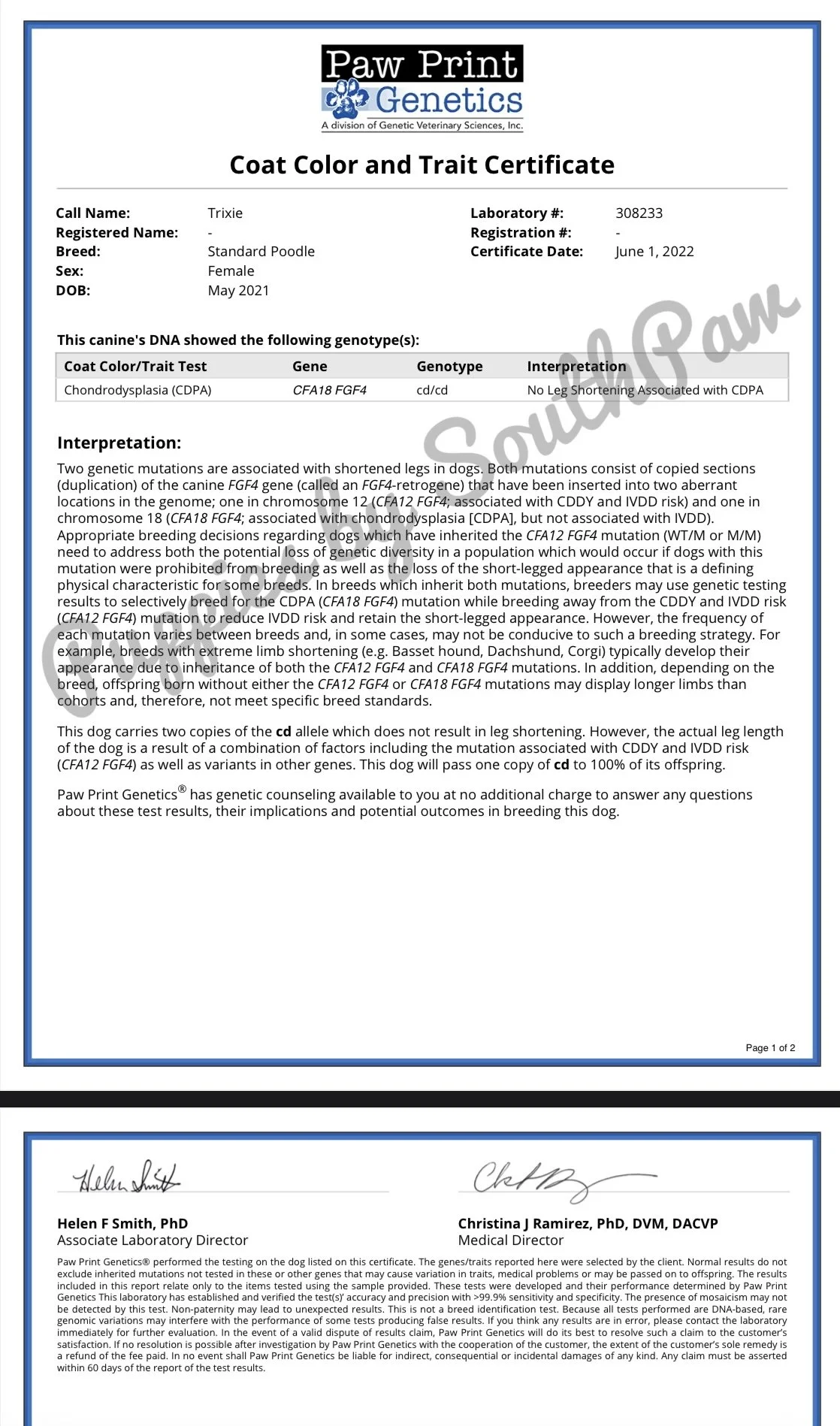 Genetic Trait Results