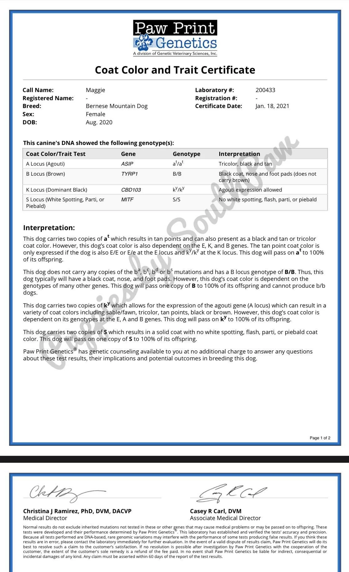 Genetic Color Results
