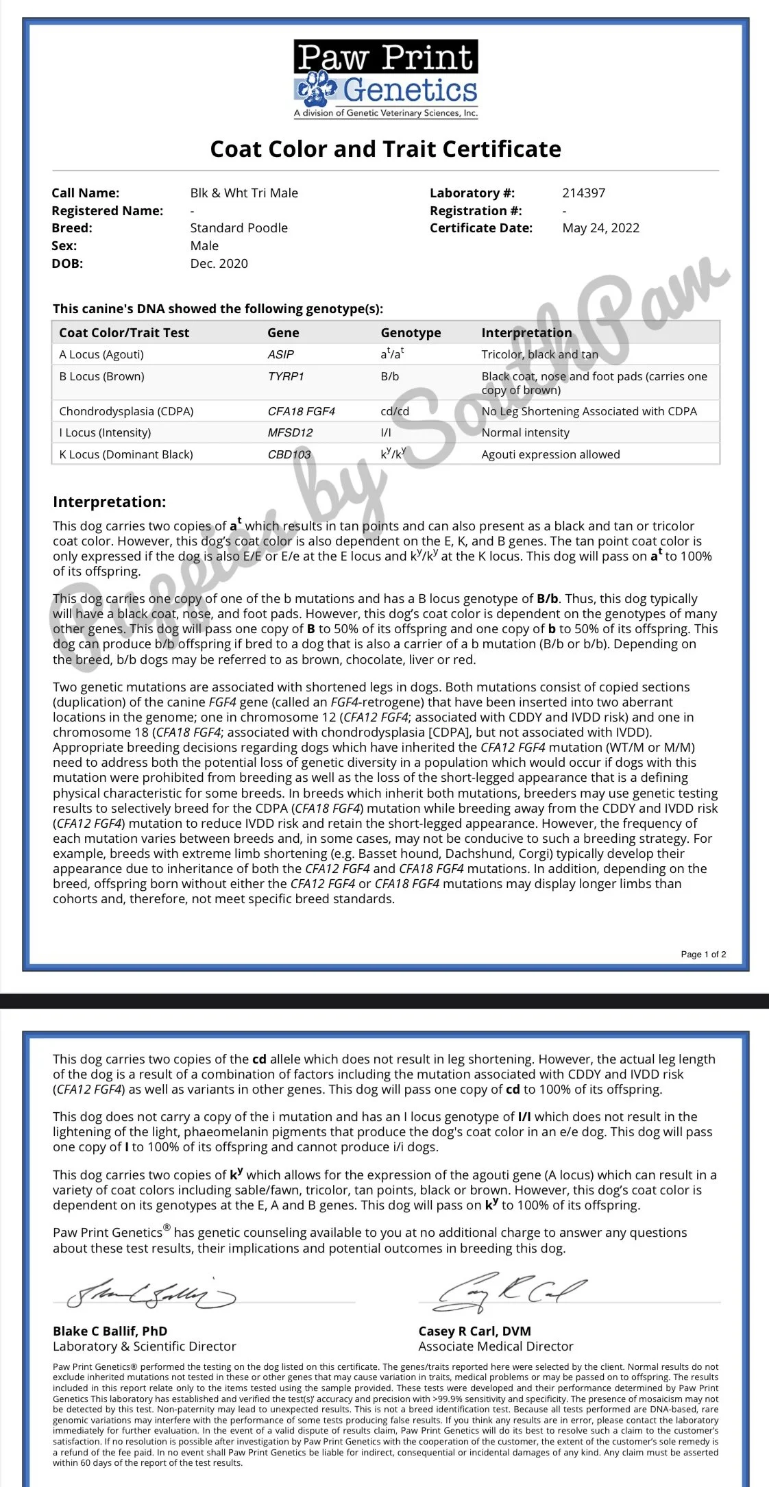 Genetic Color Results