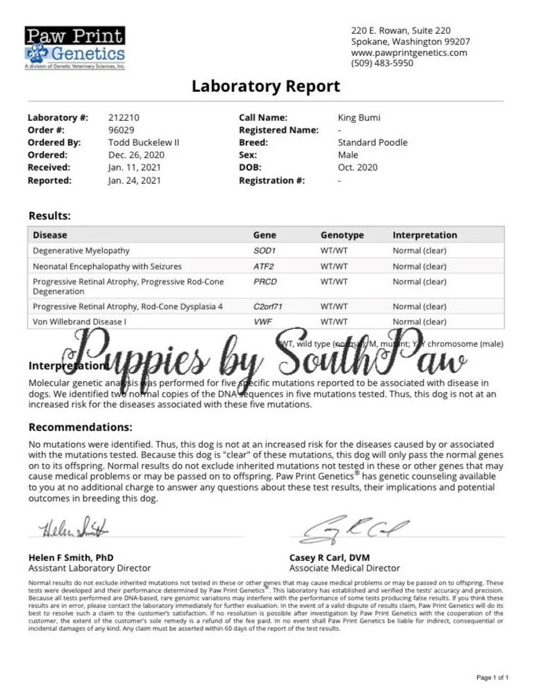 Genetic Health Results