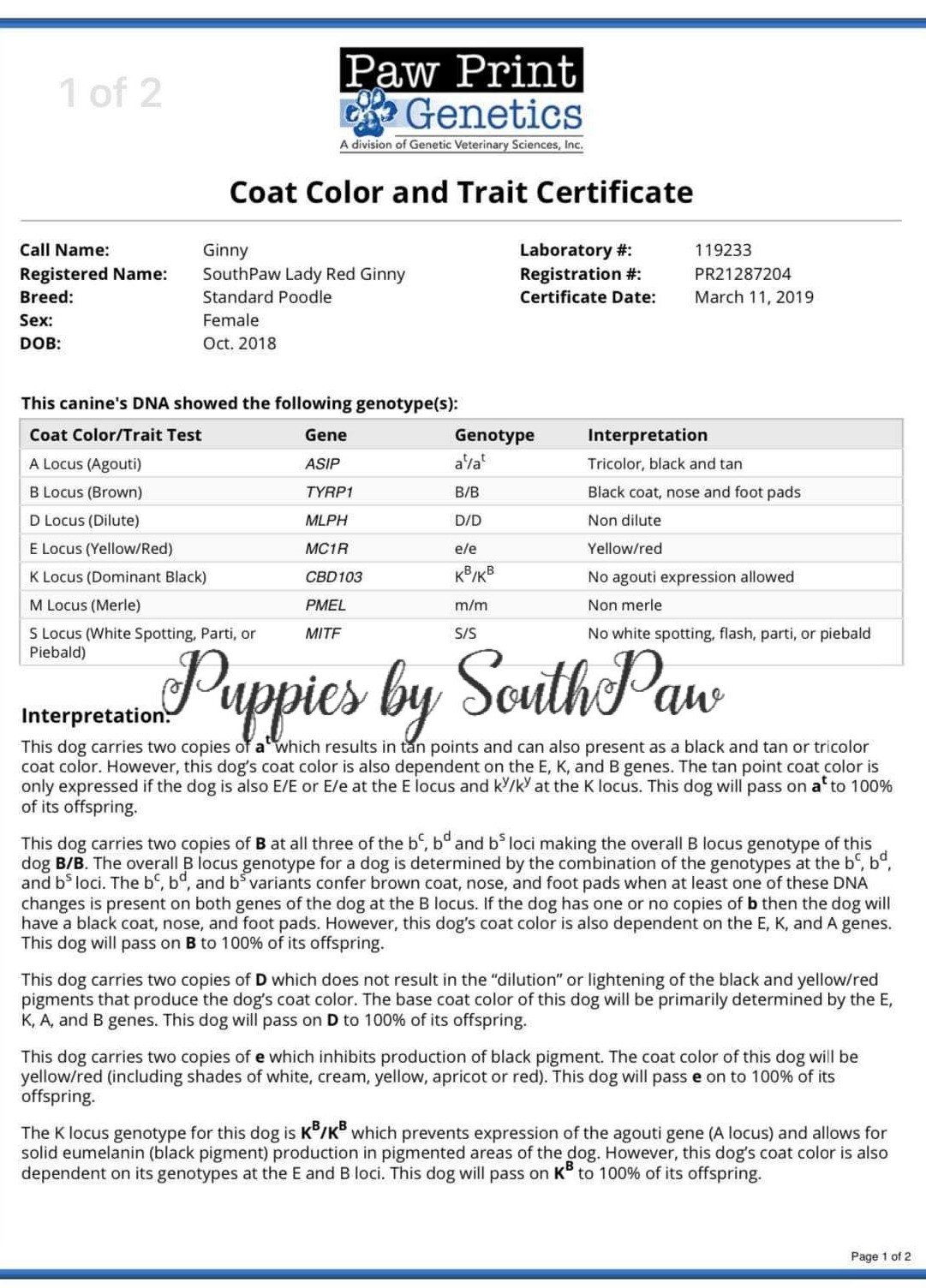 Genetic Color Results
