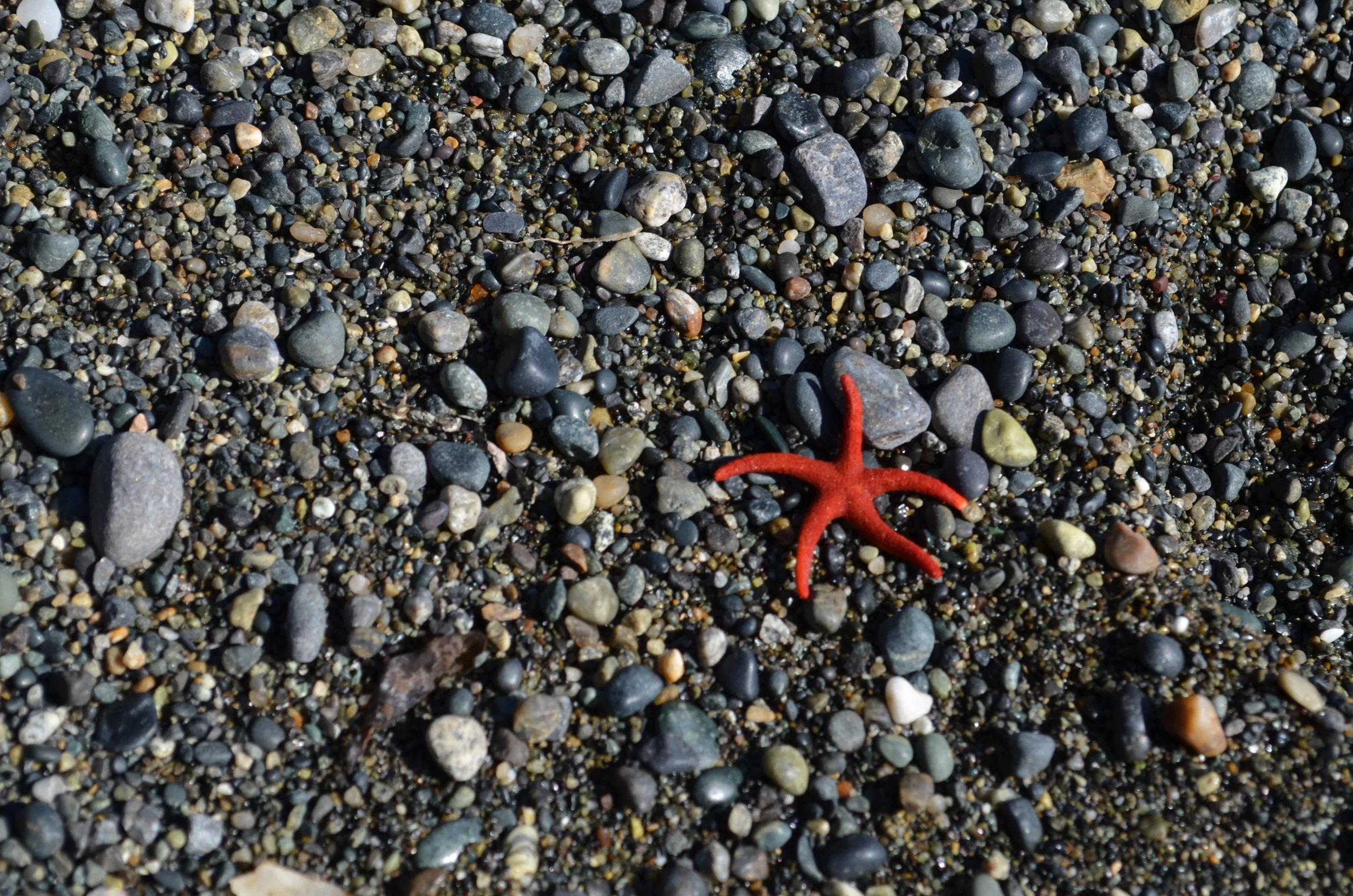 Your rock-bottom longings according to your Sun and Rising Sign