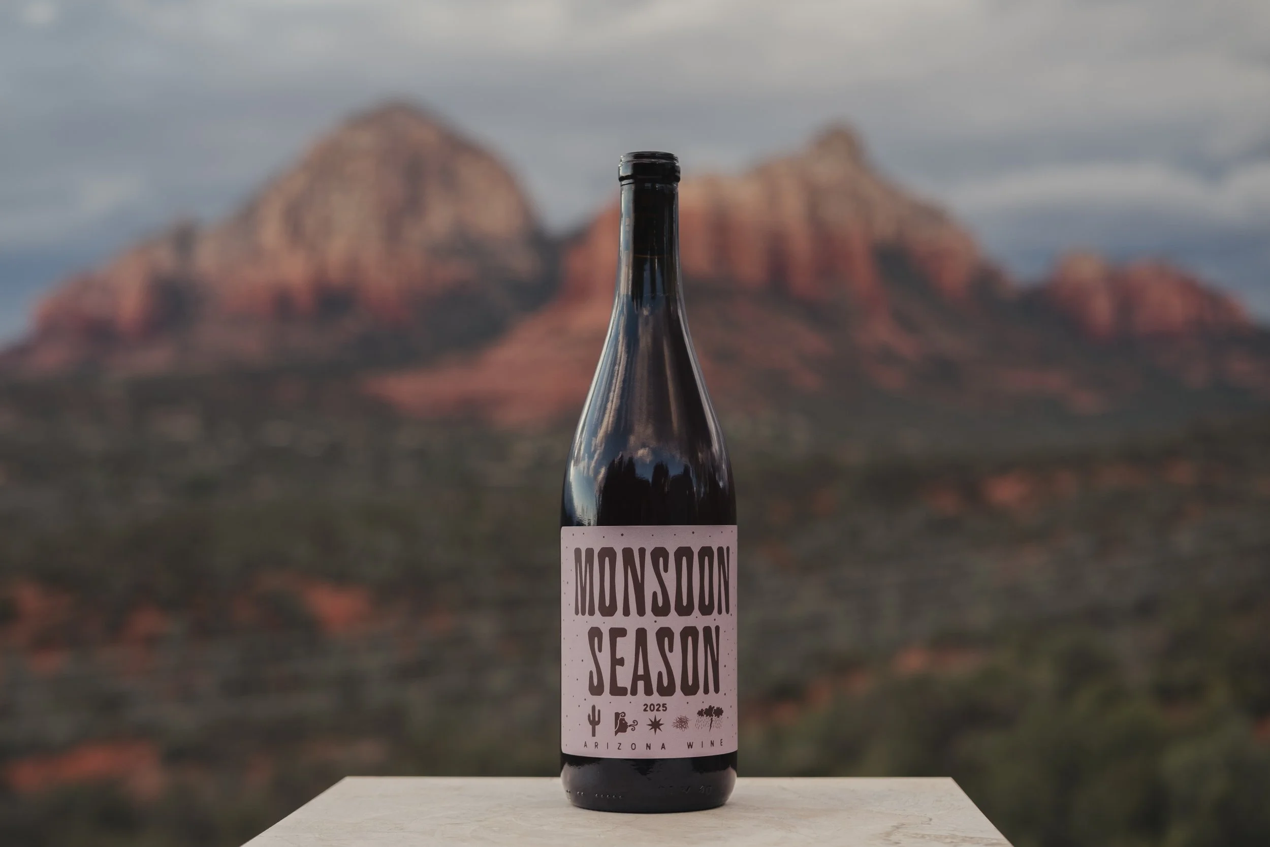 Monsoon Season 2025