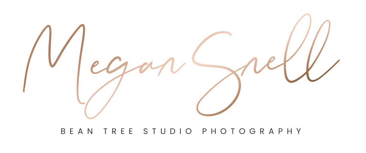 Megan Snell - Bean Tree Studio Photography