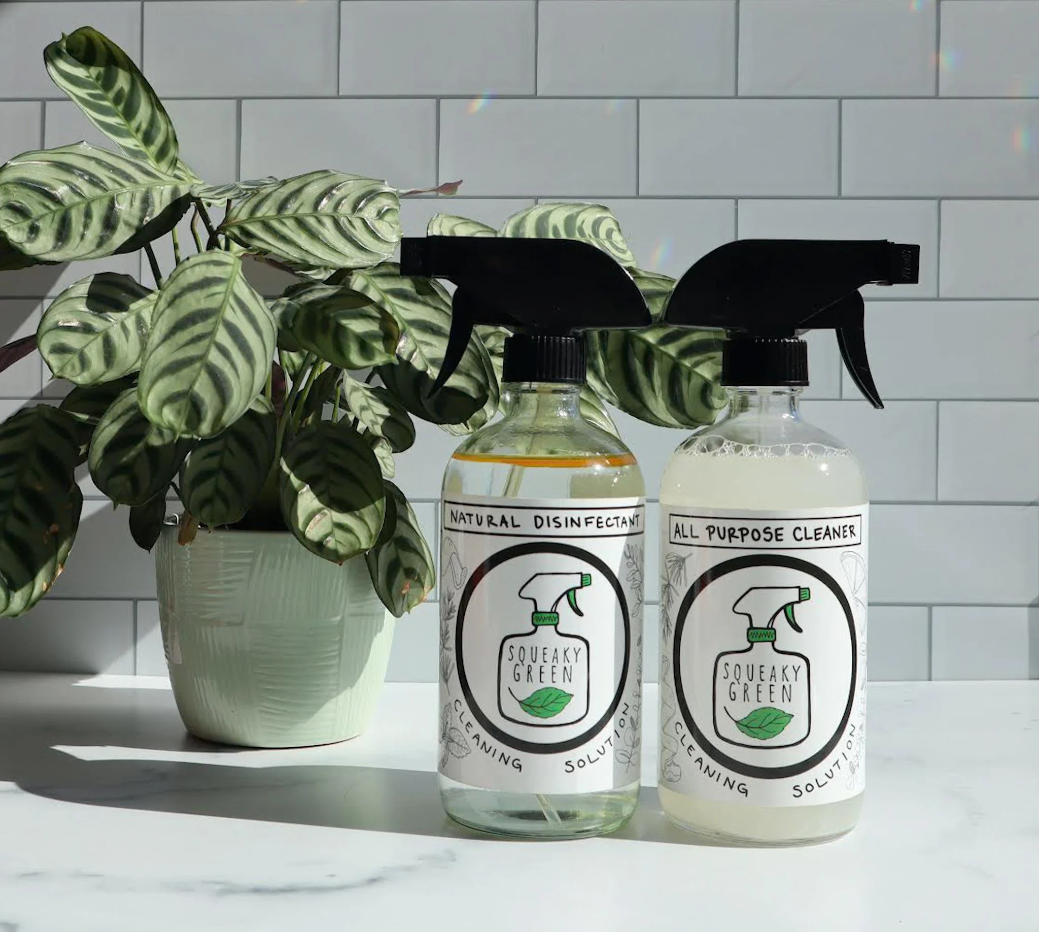 disinfect and ap with plant.JPG