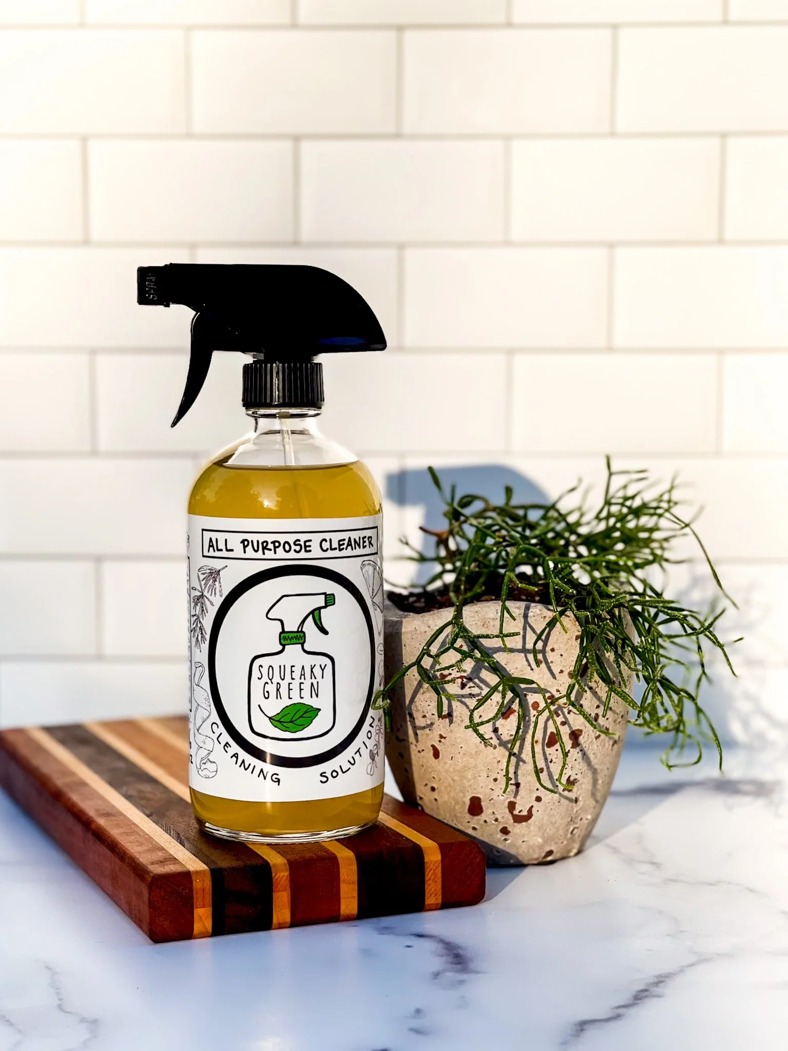 ap on board with plant.jpg