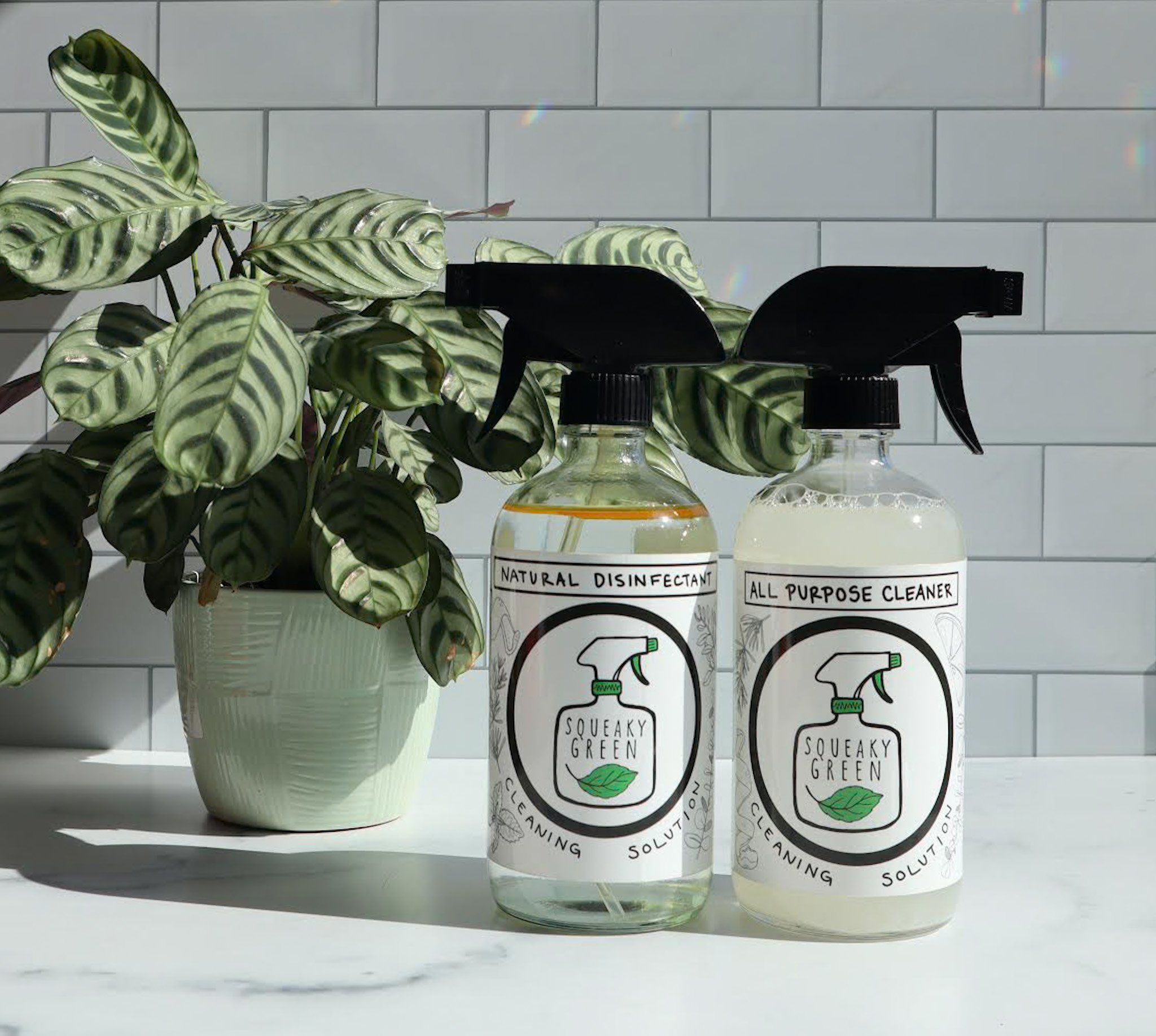 disinfect and ap with plant.JPG