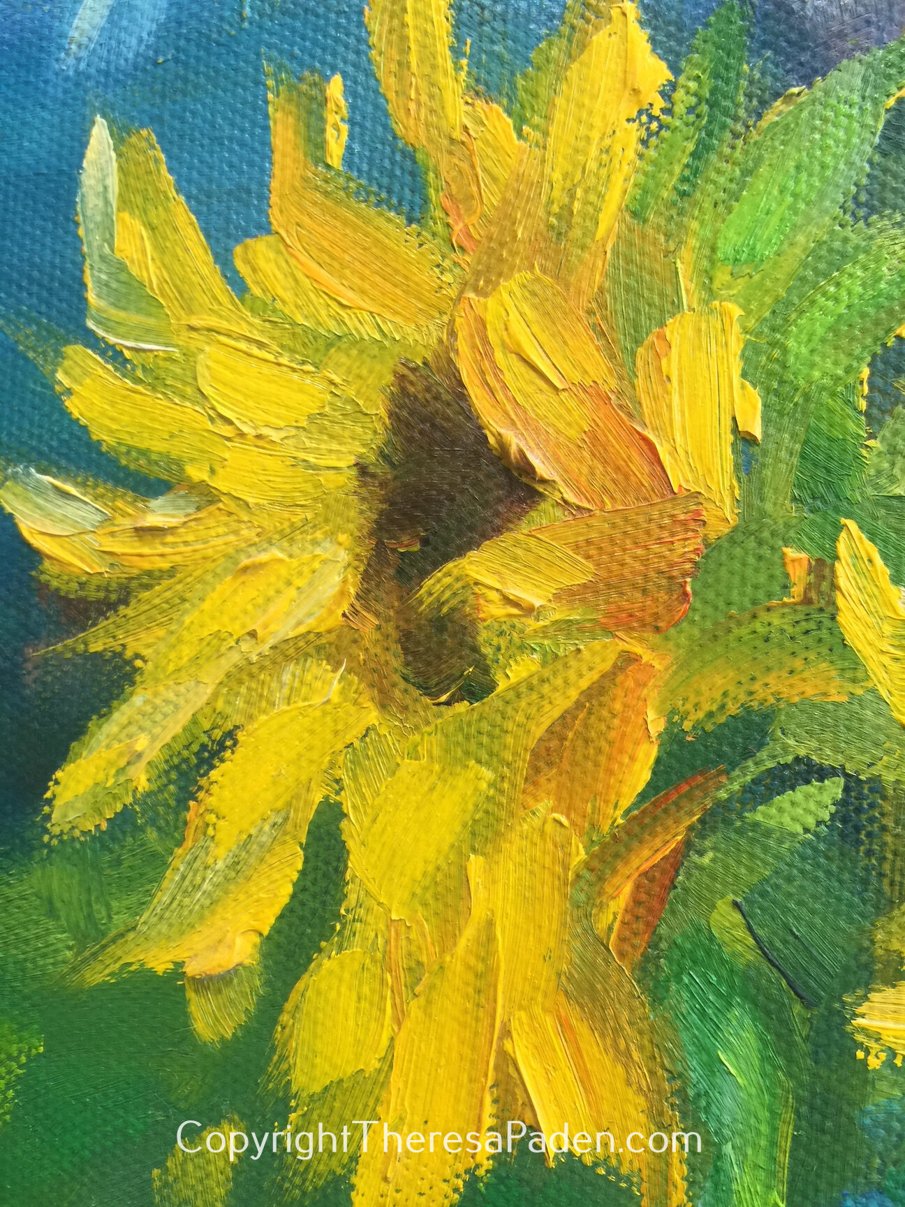 Sunflowers in Palos Verdes, T Paden closeup1WM.jpg