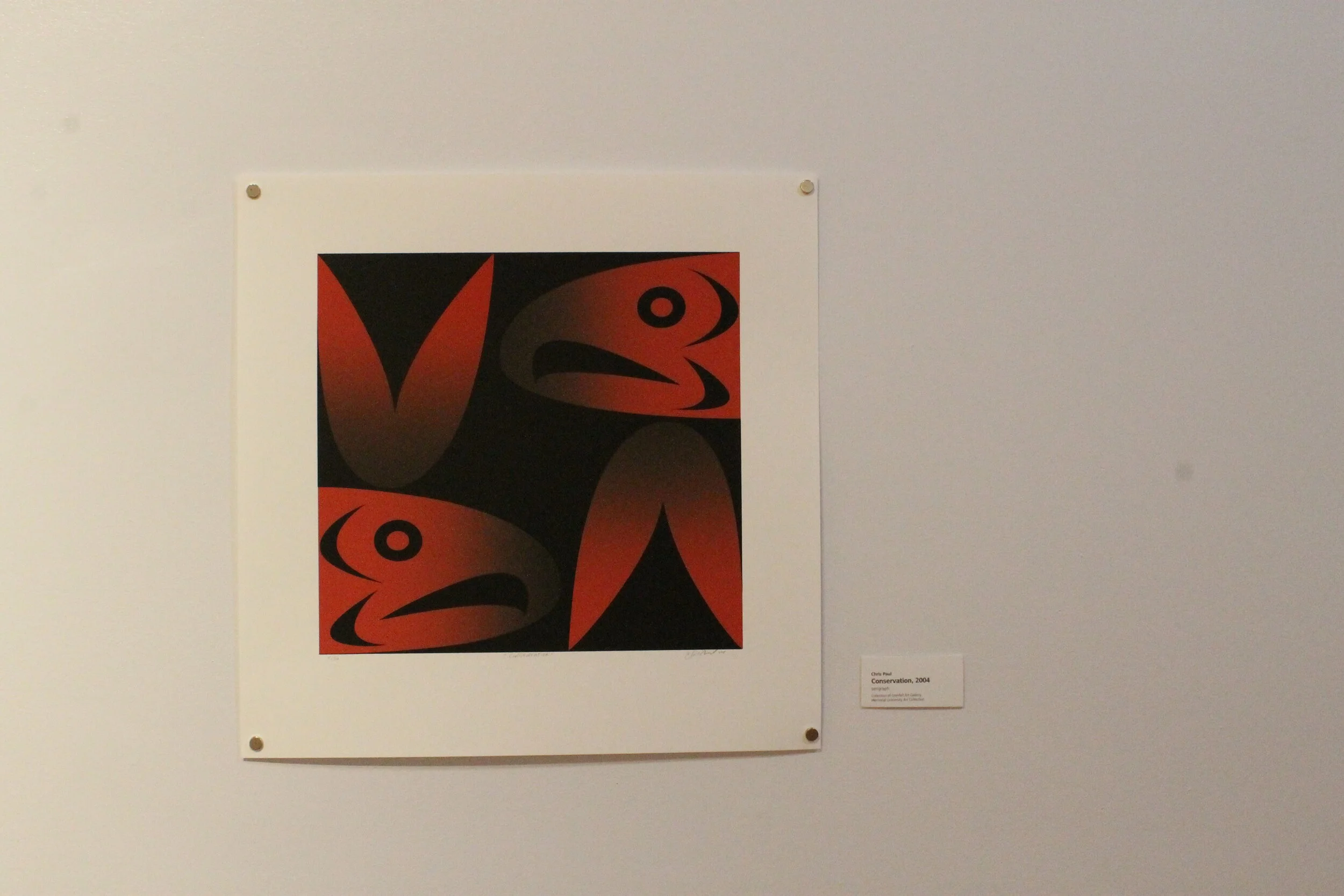 Chris Paul, Conservation, 2004