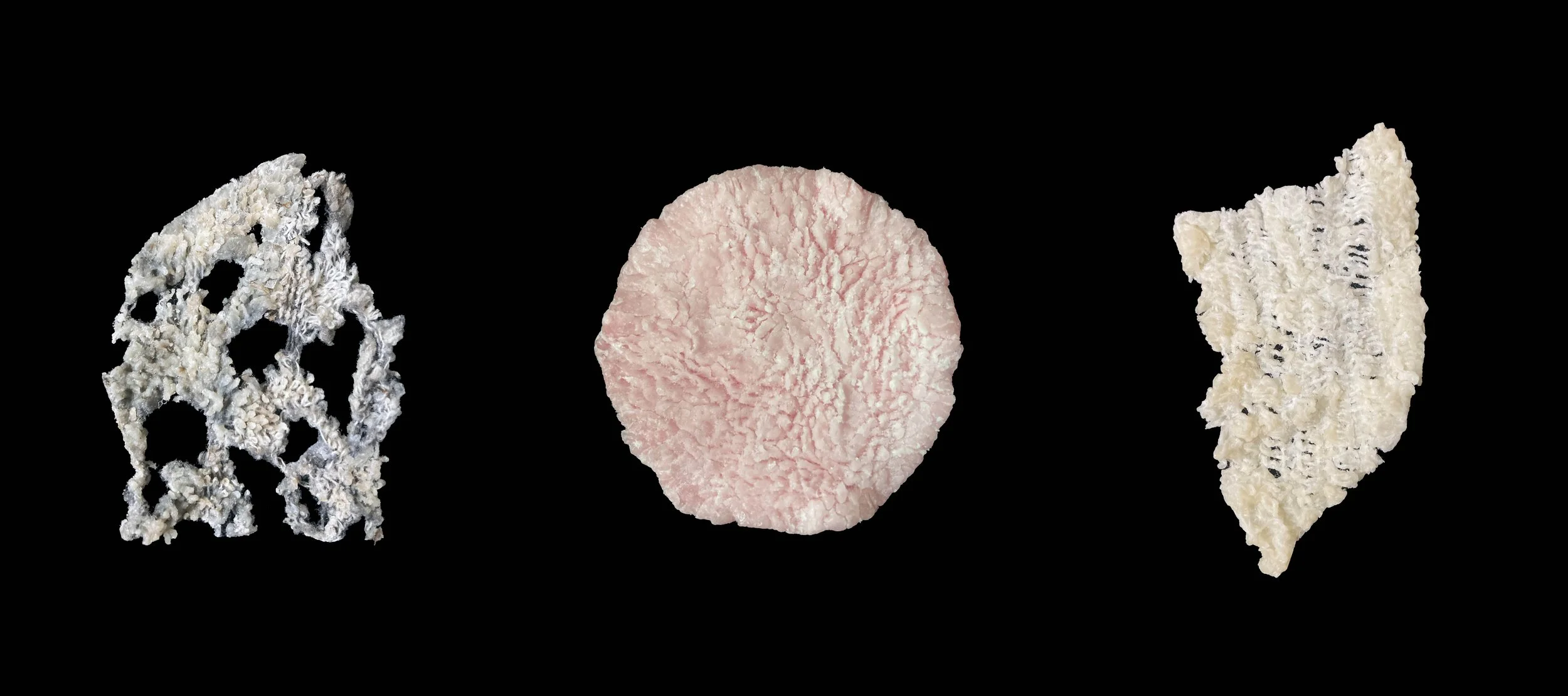 Daze Jefferies: pleasuremonger Opening Reception