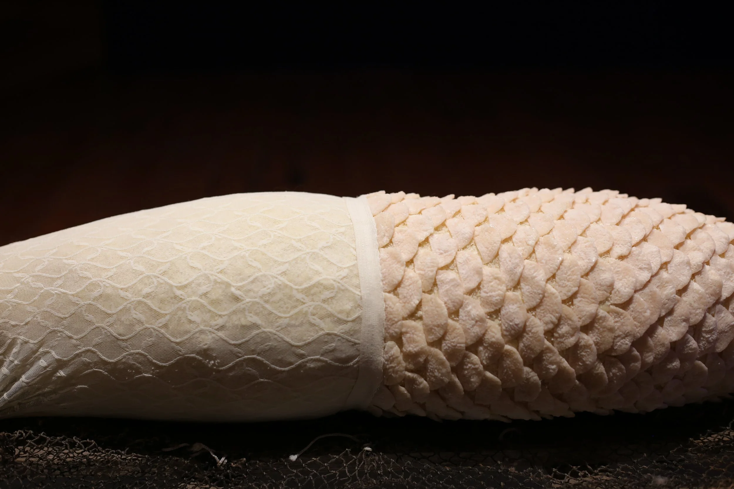 Daze Jefferies: pleasuremonger Closing Reception