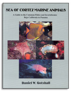 Sea of Cortez Marine Animals by Dan W. Gotshall — ProStar Publications, Inc.
