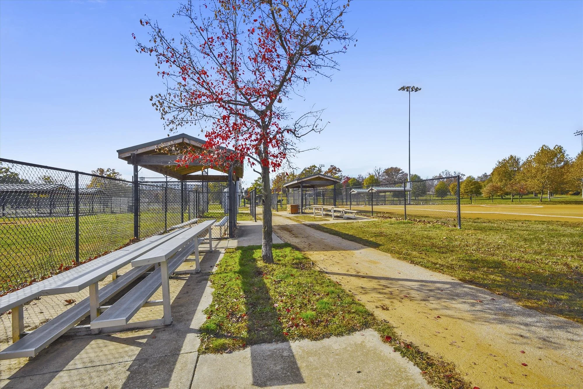 amenity-carroll park ball field-_dsc7089.jpg