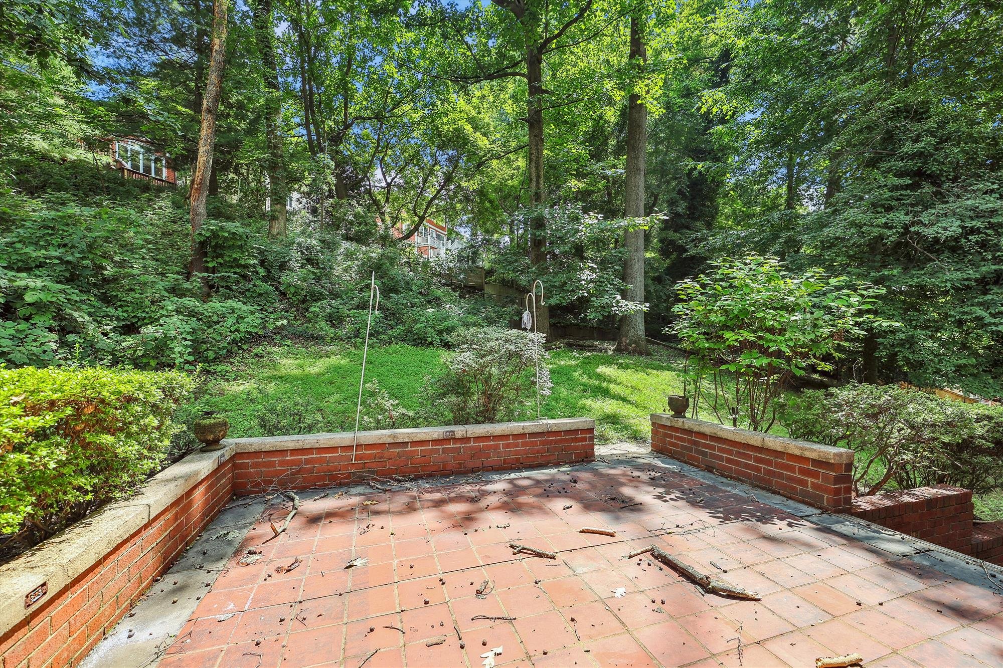 exterior-back yard-a9654.jpg