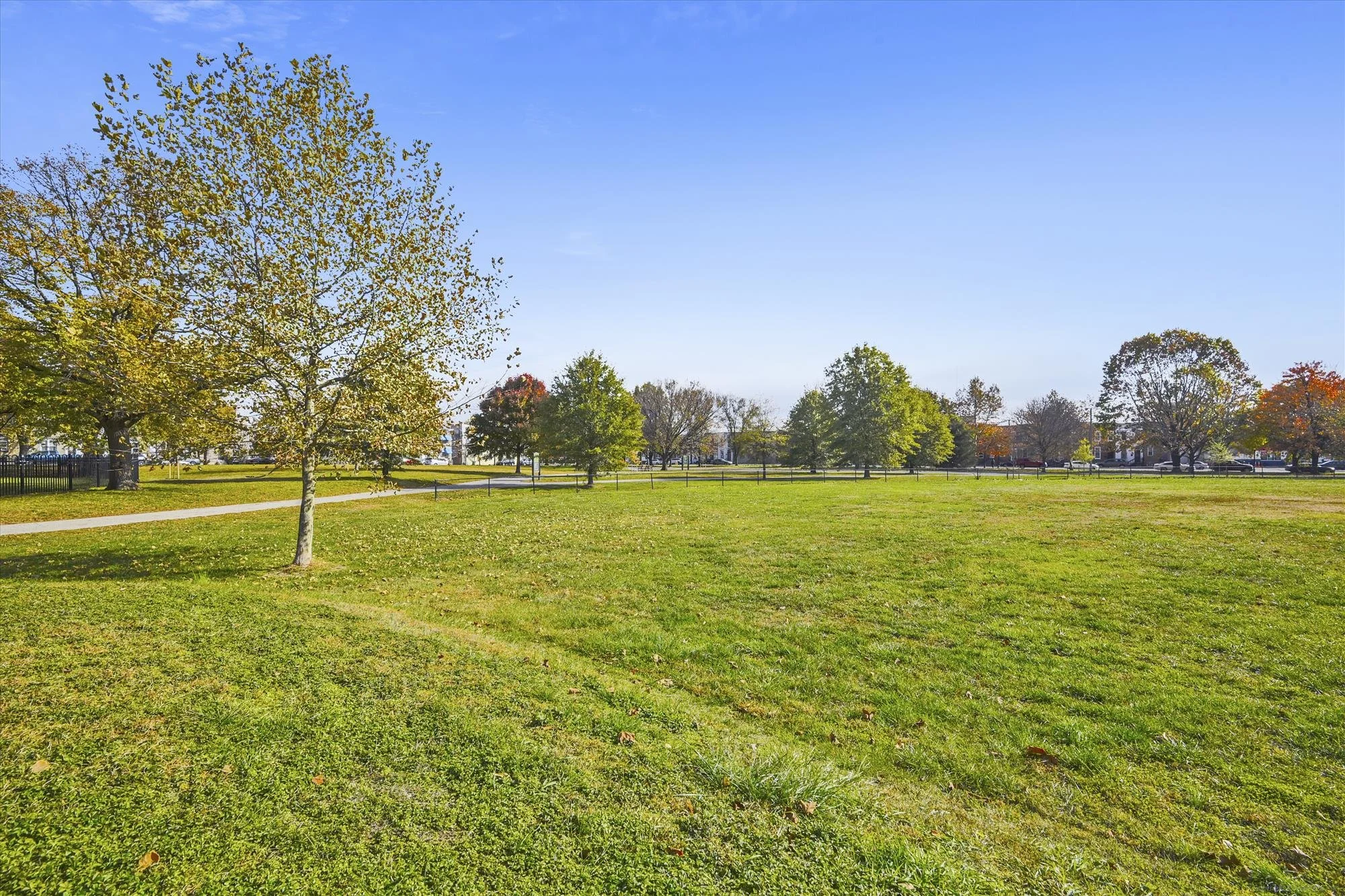 amenity-carroll park-_dsc7091.jpg