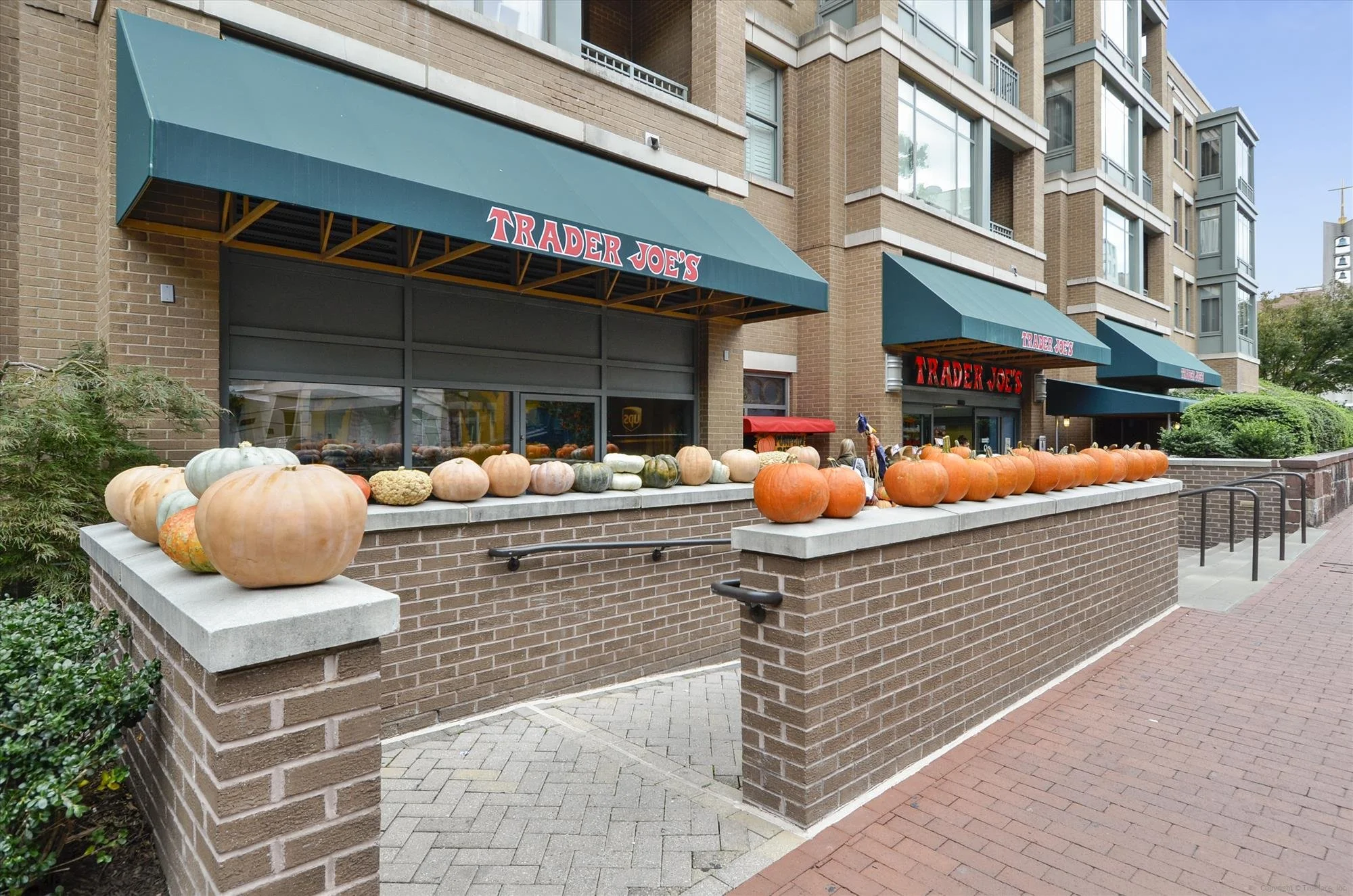 amenity-trader joes-_dsc5988.jpg