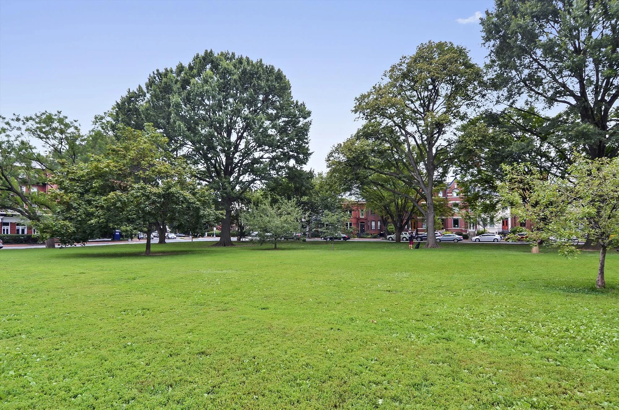 amenity-lincoln park-_dsc2251.jpg