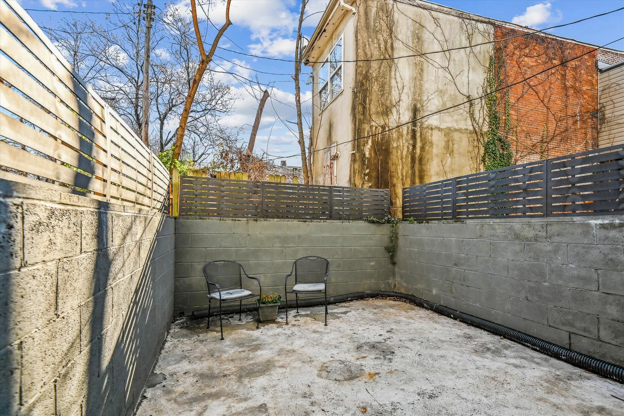 exterior-back yard-_dsc9920.jpg