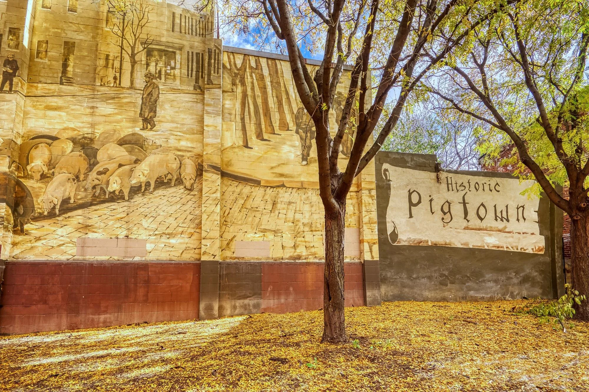 amenity-sowebo-washington villagepigtown historic mural-1.jpg