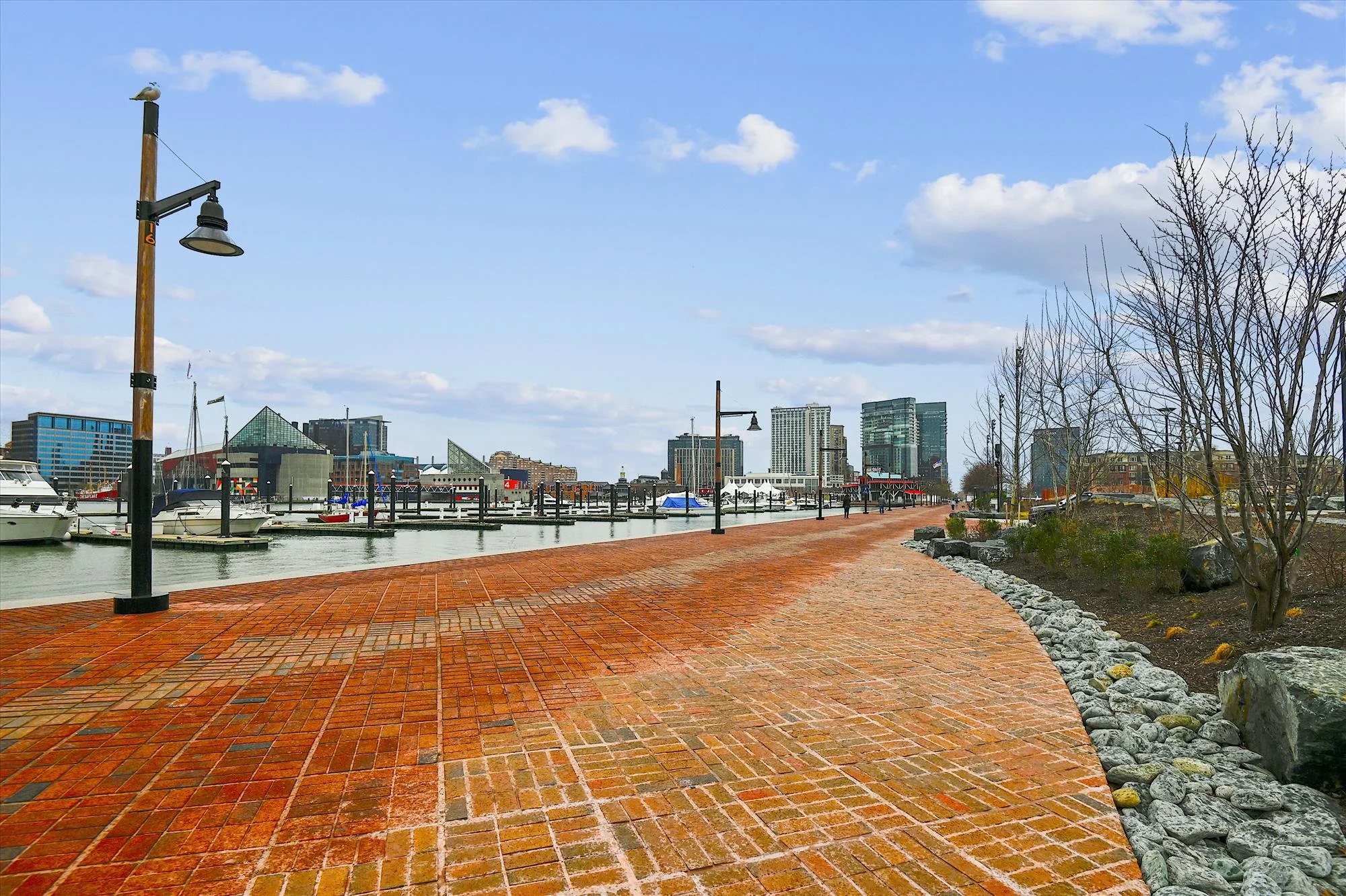 amenity-maryland science center waterfront park-_dsc5800.jpg