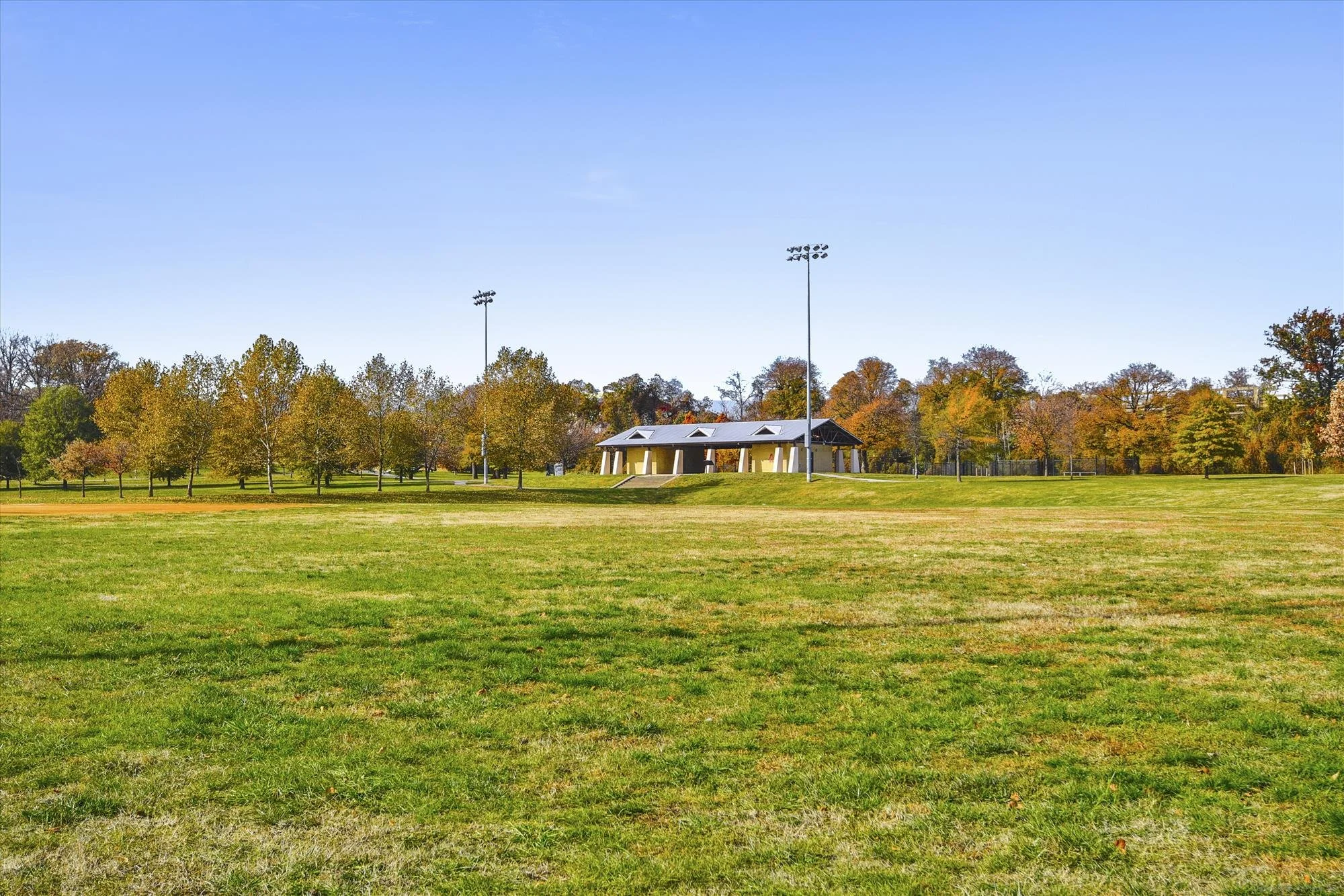 amenity-carroll park ball field-_dsc7087.jpg
