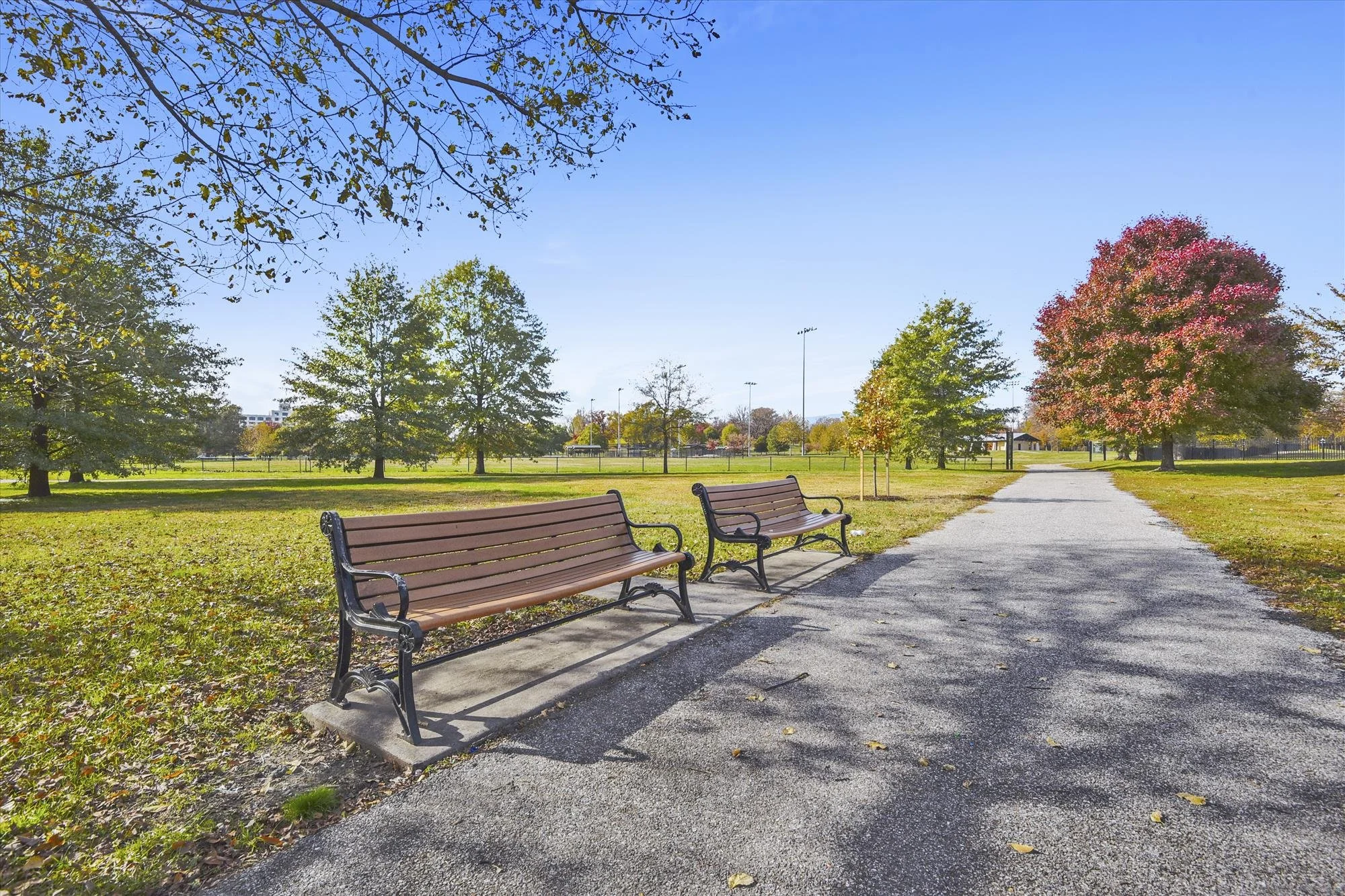 amenity-carroll park walk-_dsc7085.jpg