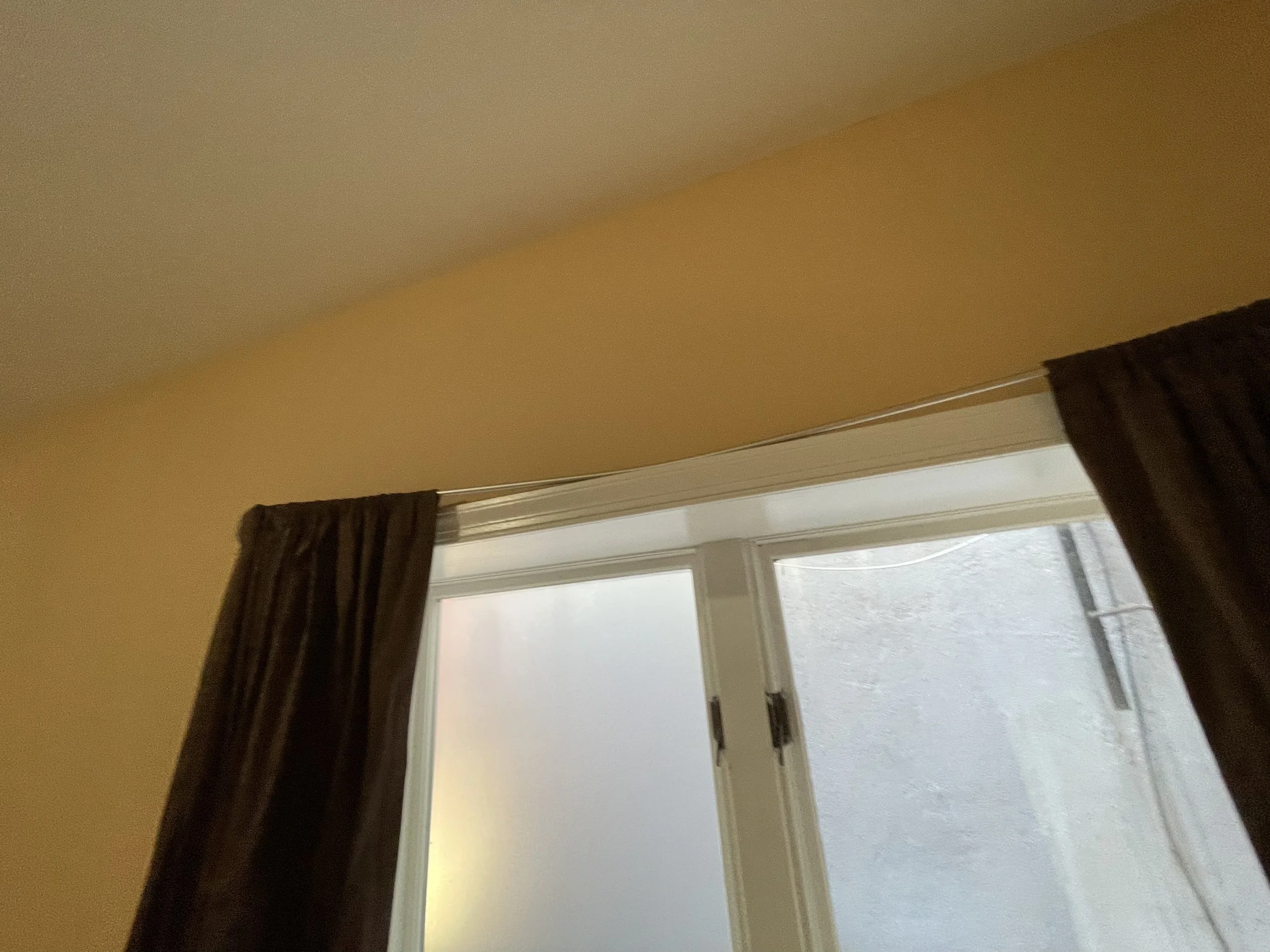 IMG_7161.jpeg