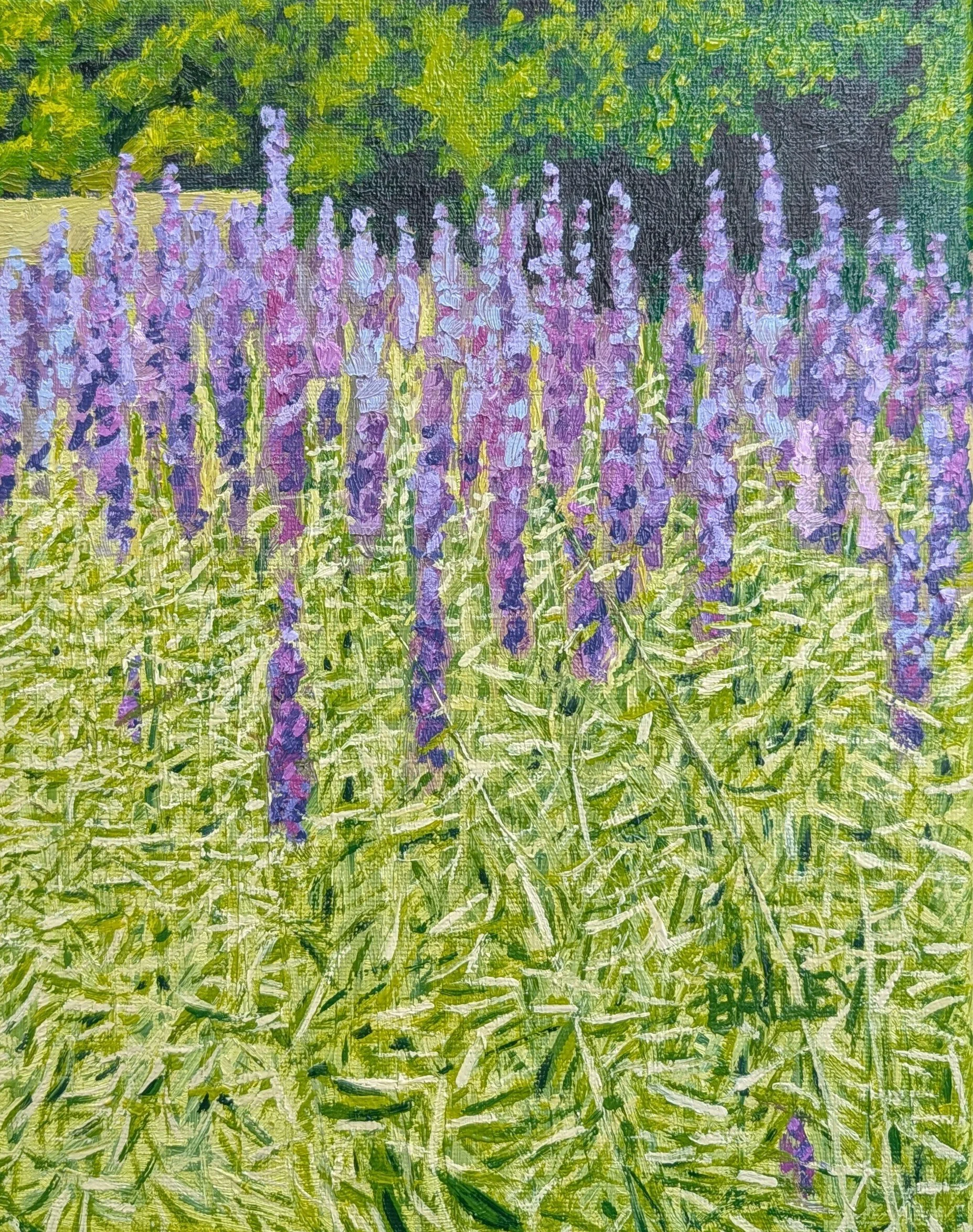 Larkspur, Oil On Canvas, 8 x10