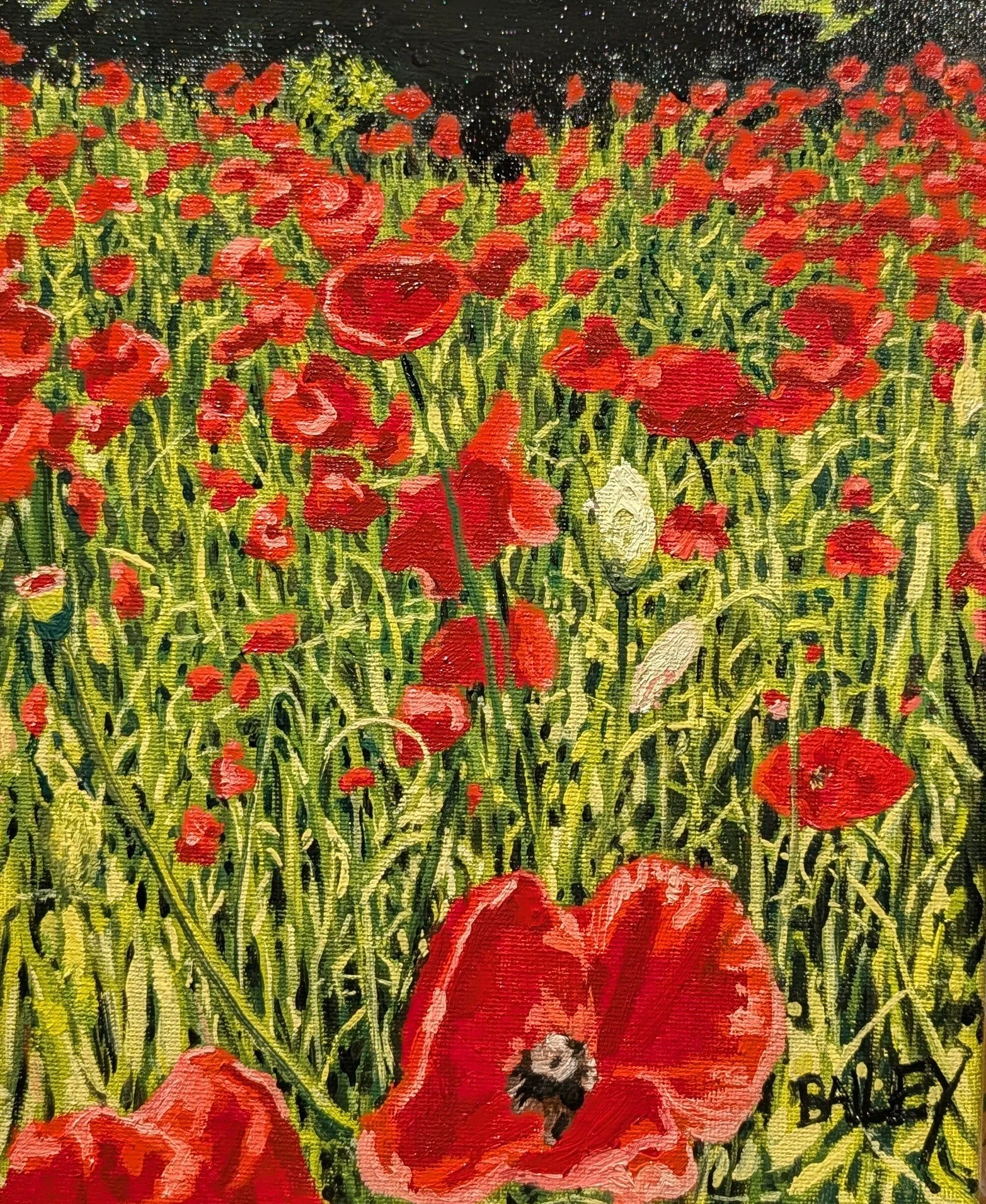 Poppies, Oil On Canvas 8x10