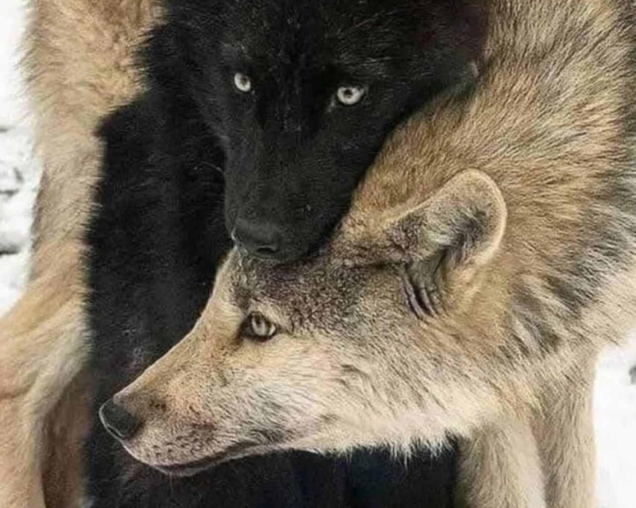 05: The long-distance open (Pt. 2)