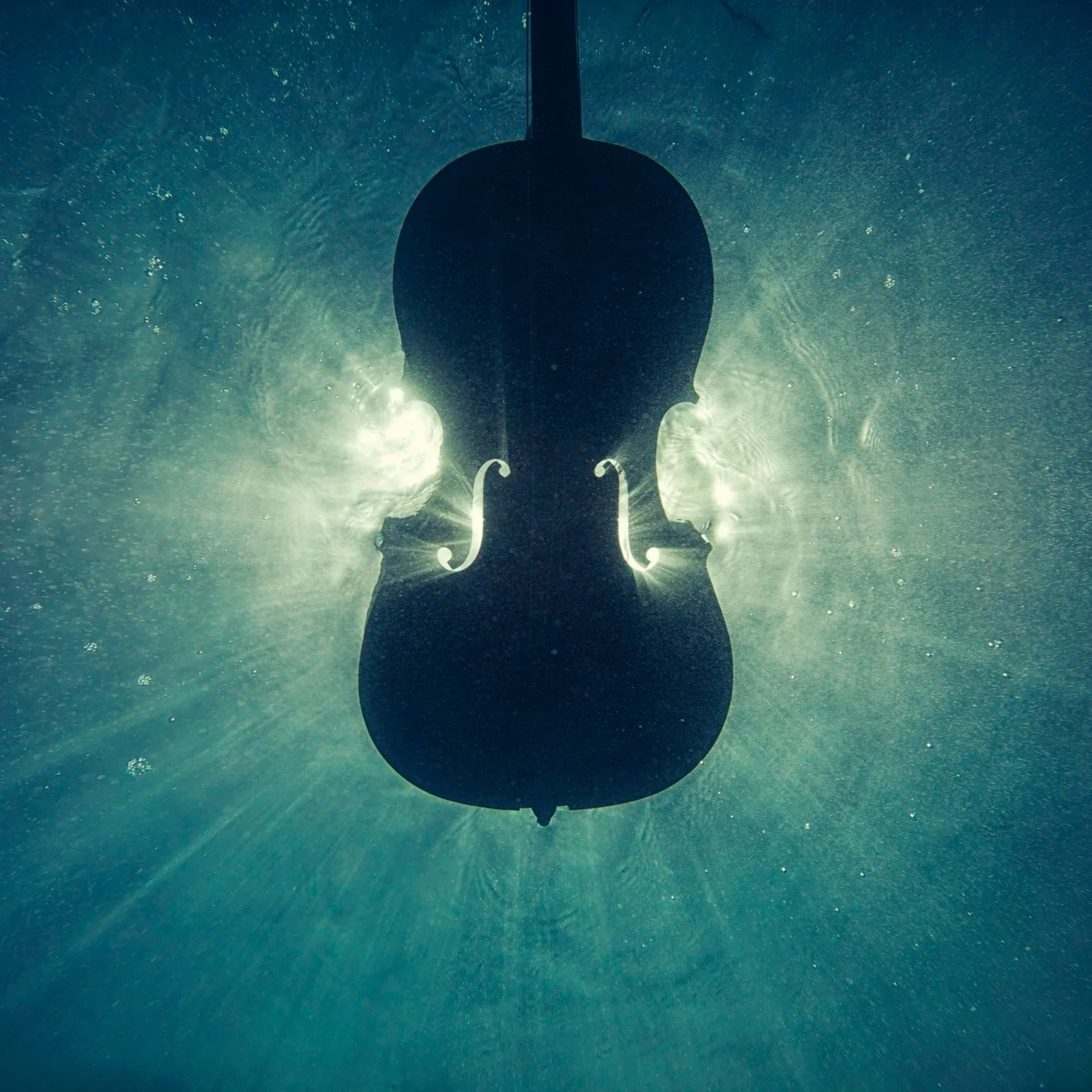 The Violin