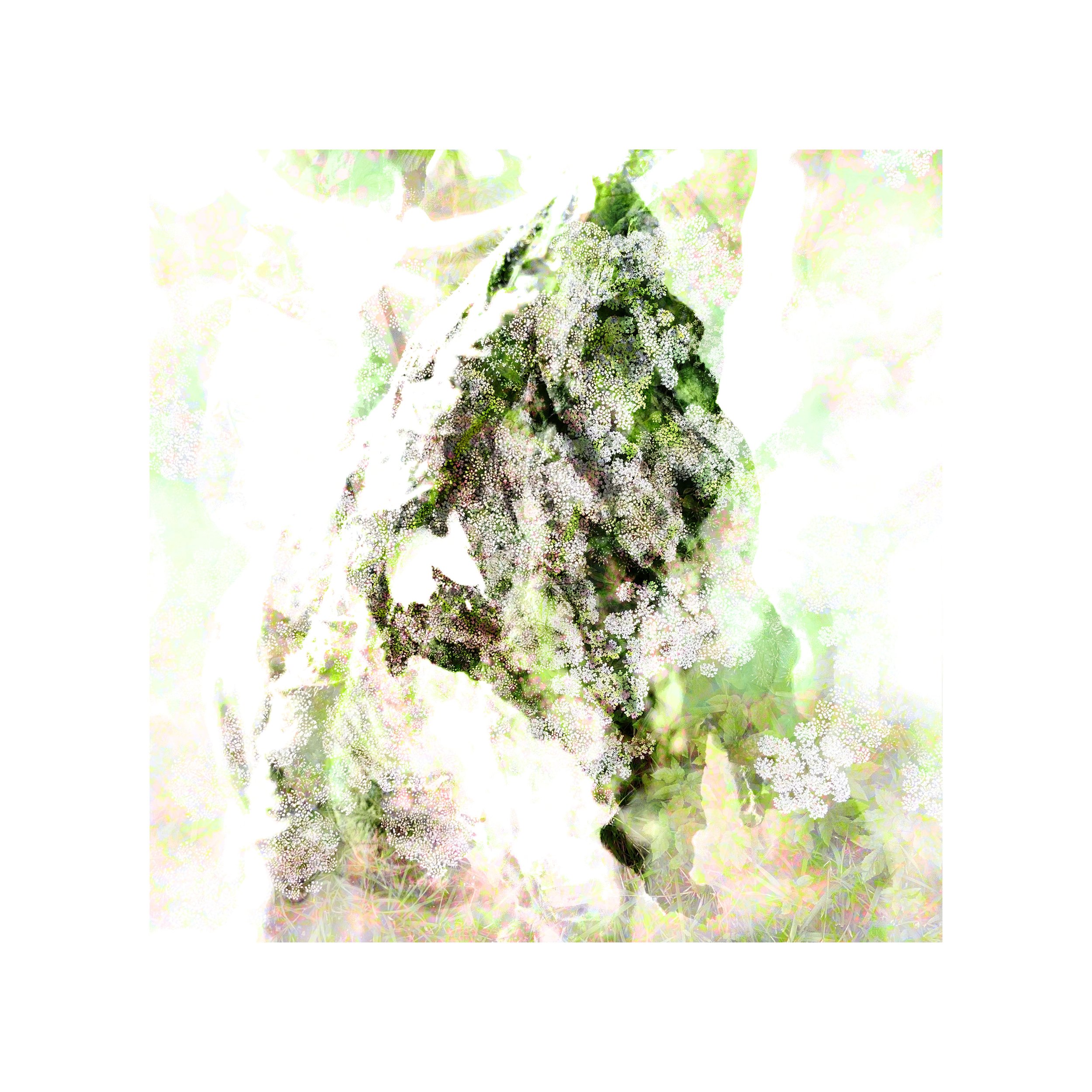 Delicate Form 10x10 FRAME.jpg