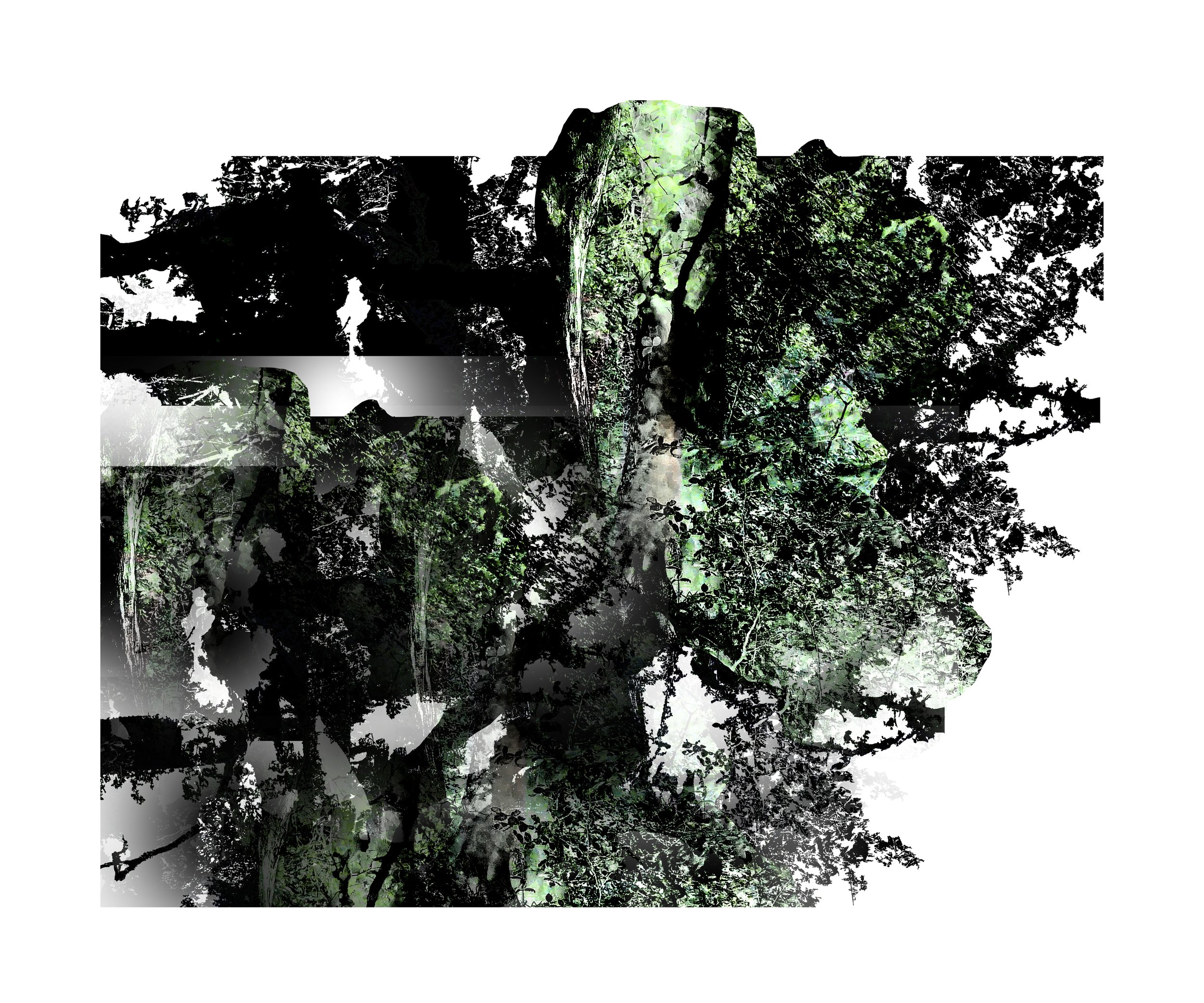 Into the Woods 12x10.jpg