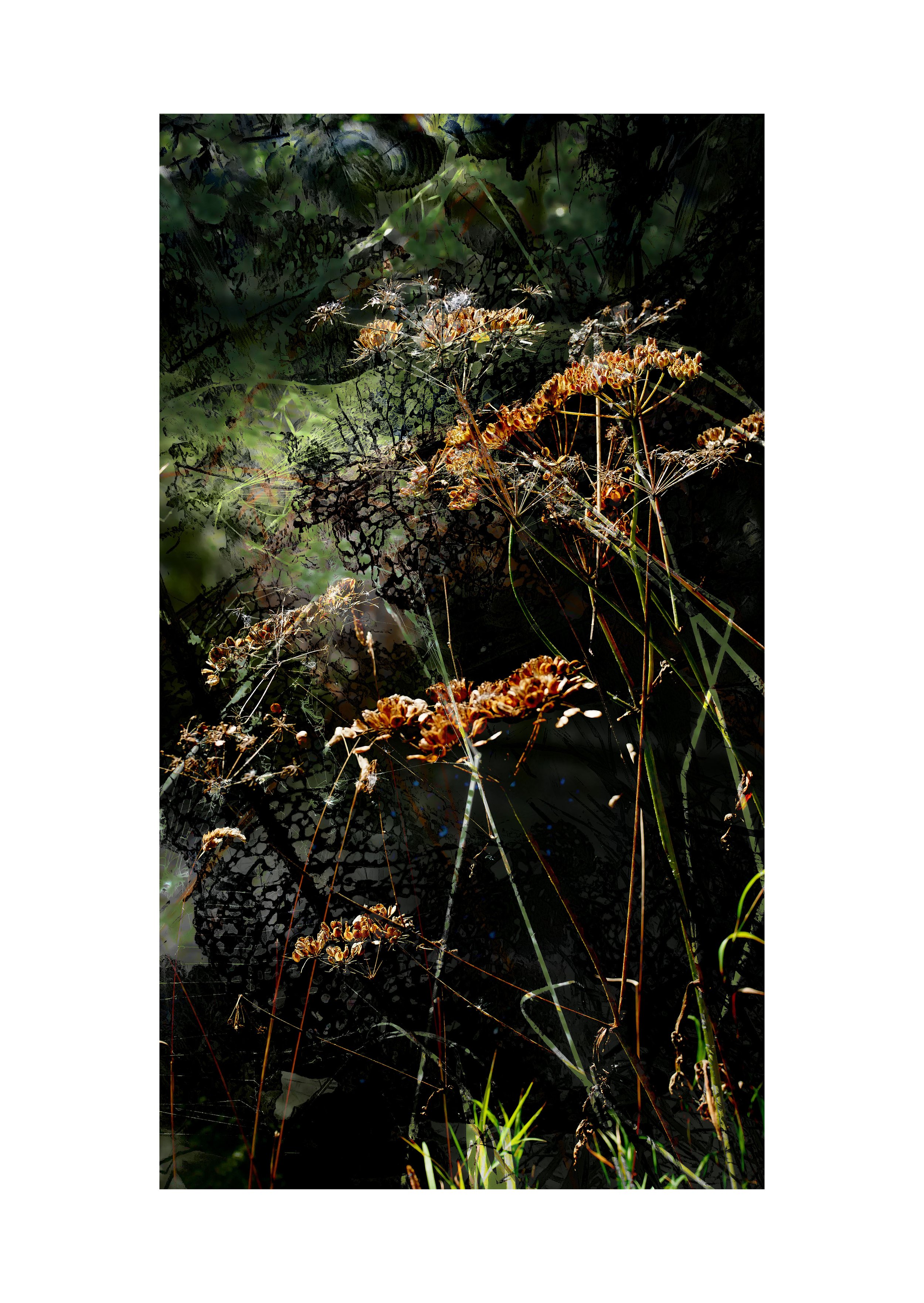 A3 Canal Side WEBSITE copy.jpg