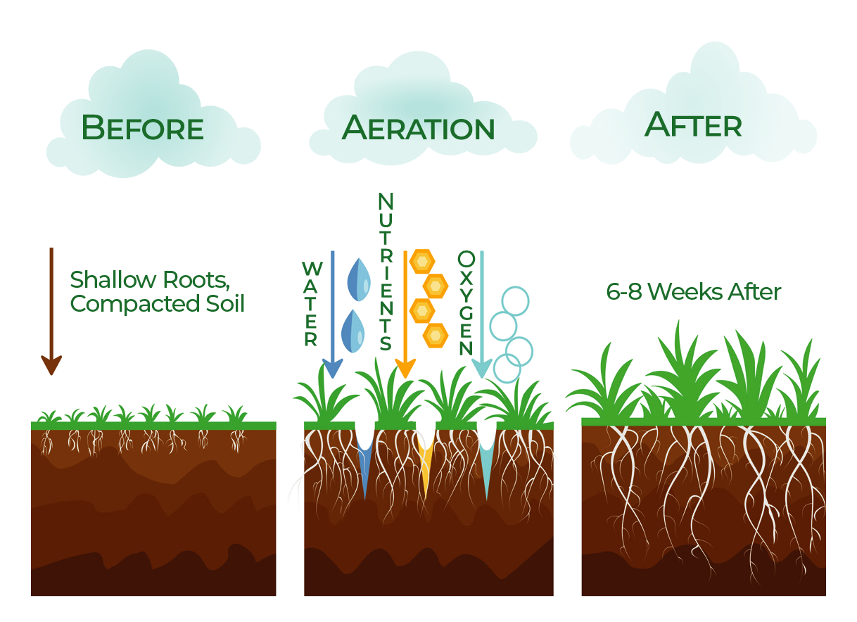 What is Core Aeration? — Jonny Nichols Landscape Maintenance