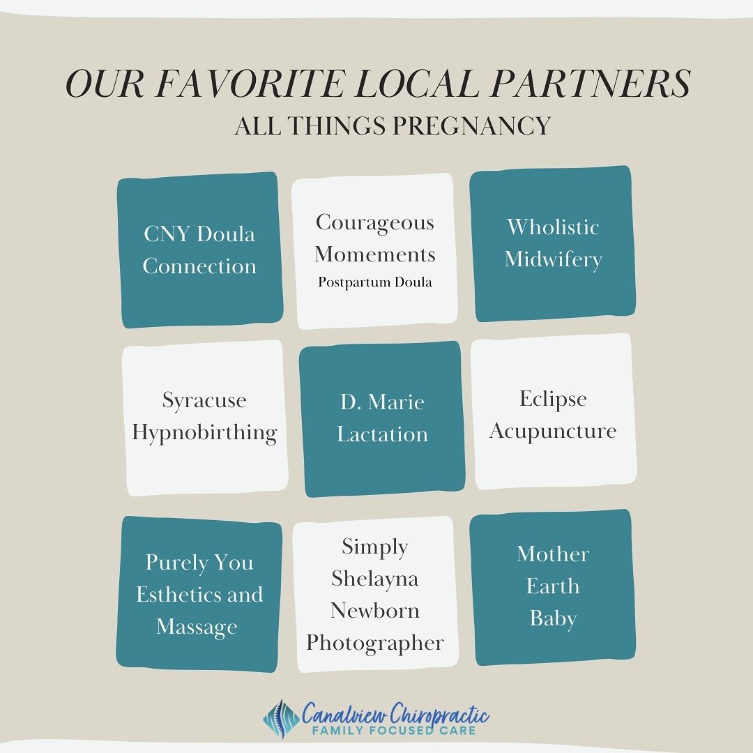 Discover our favorite local partners for all things pregnancy! 

From doula services at CNY Doula Connection to postpartum support with Courageous Moments, we&rsquo;ve got you covered. Interested in home birth? Wholistic Midwifery offers compassionat