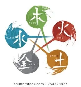 TCM 5 Elements