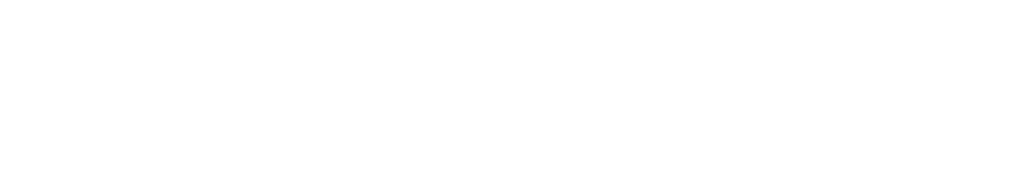 Paradise City Entertainment