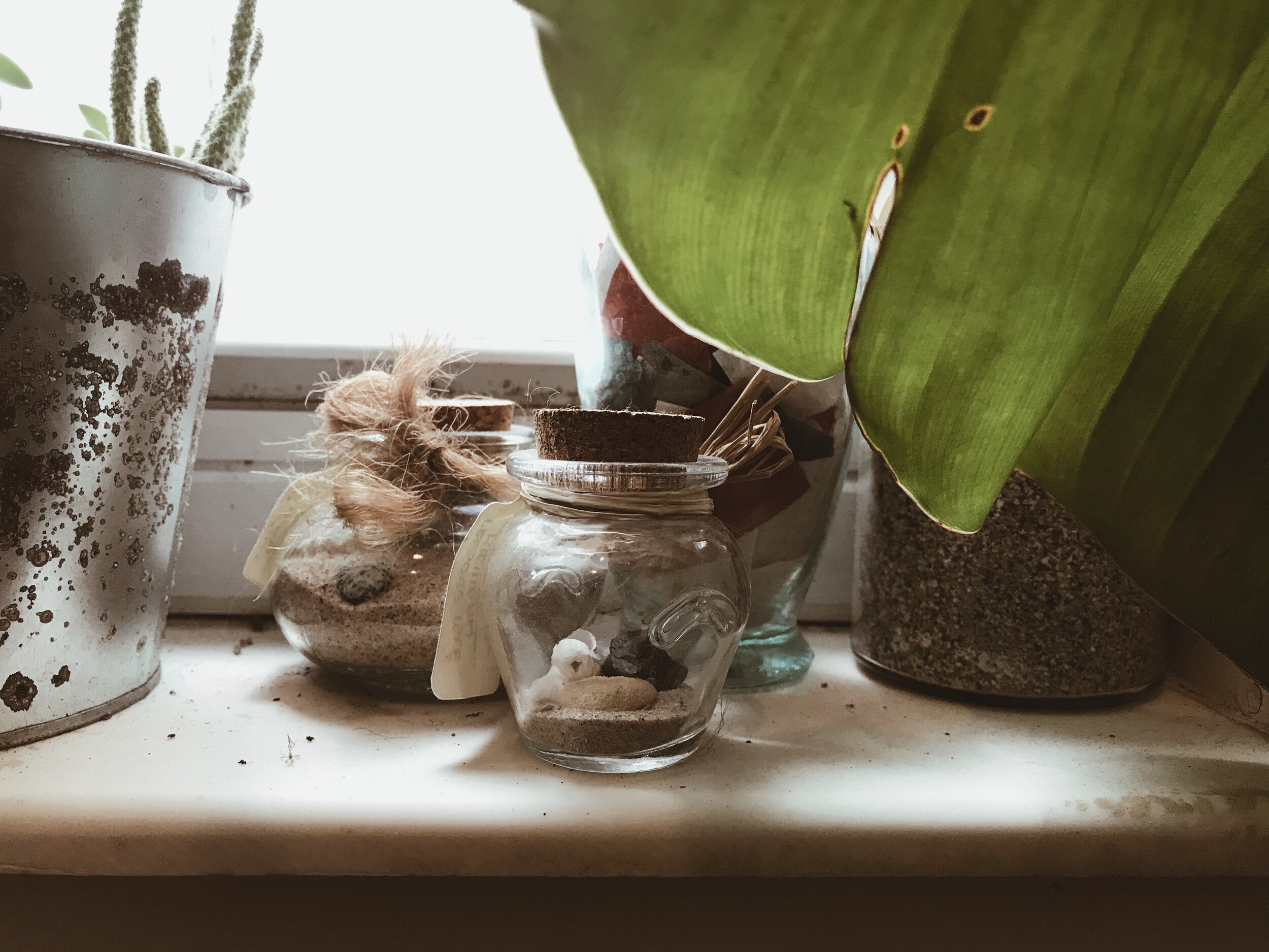 Little Glass Jars — Hannah Henriques