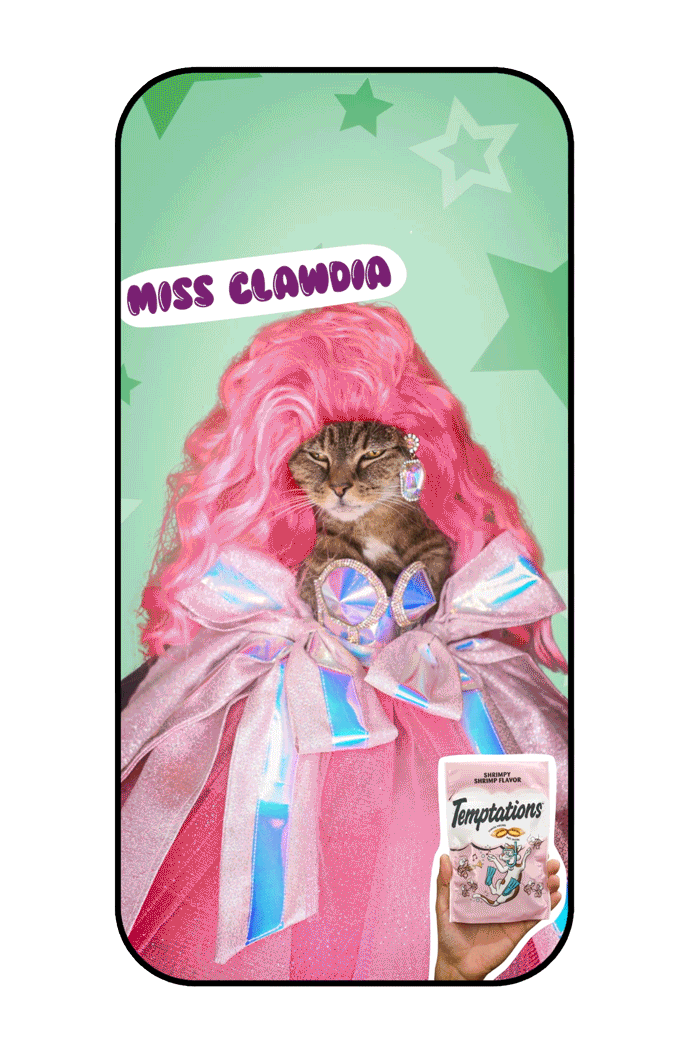 Clawdia_KittyRace.gif