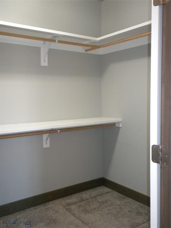 54 Western Larch 13.jpg