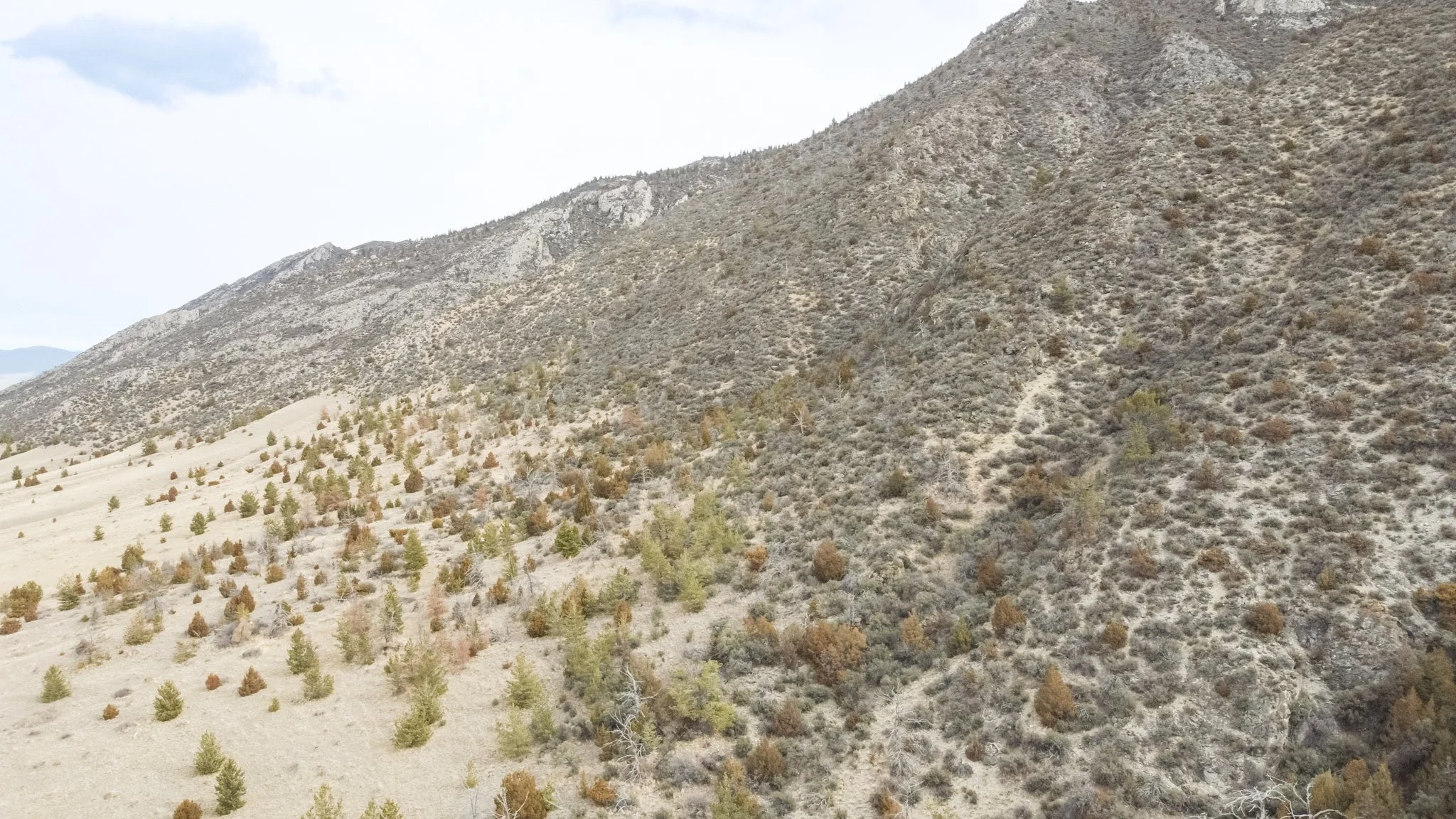 TBD Point of Rocks Rd, Whitehall MT- March 2026 (48).JPG