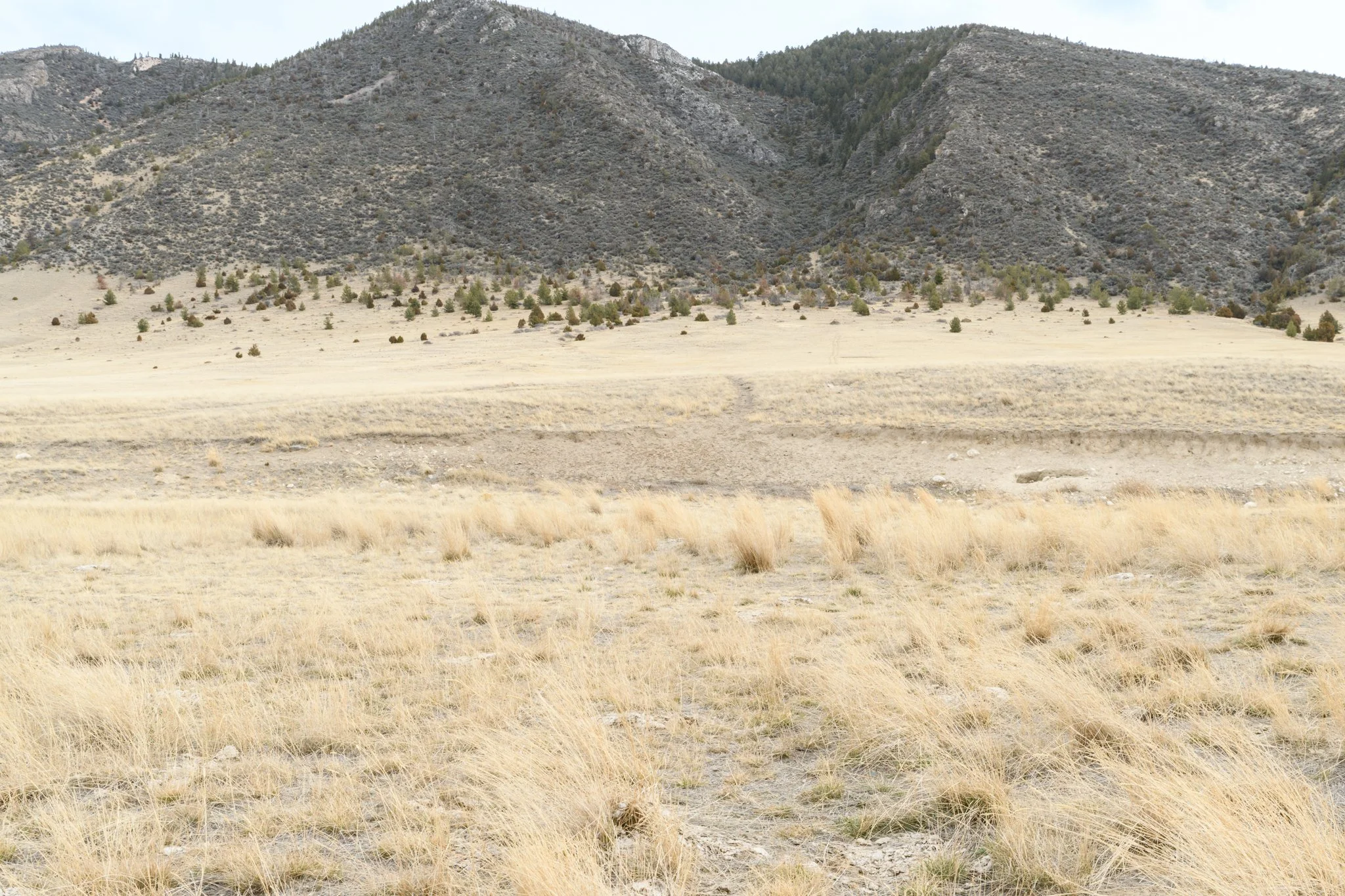 TBD Point of Rocks Rd, Whitehall MT- March 2026 (12).JPG