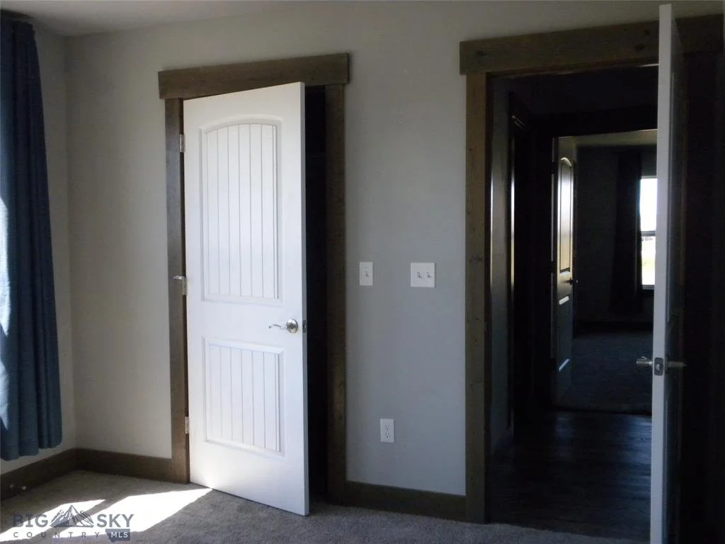 54 Western Larch 14.jpg