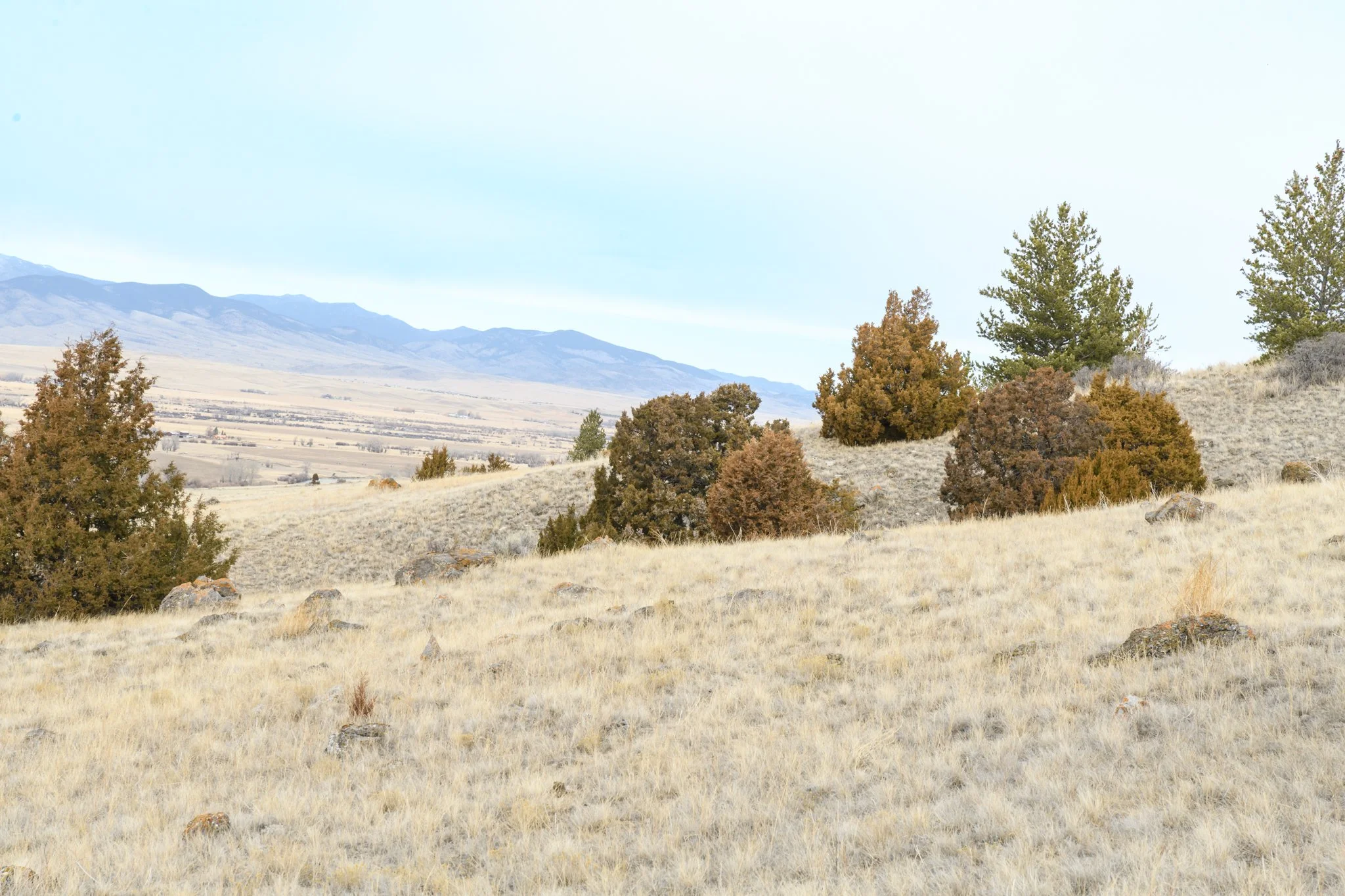 TBD Point of Rocks Rd, Whitehall MT- March 2026 (7).JPG