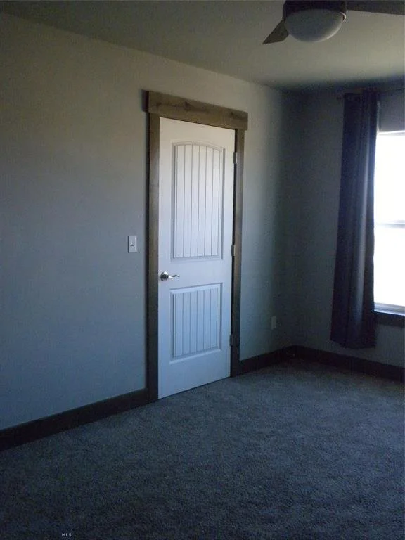 54 Western Larch 18.jpg