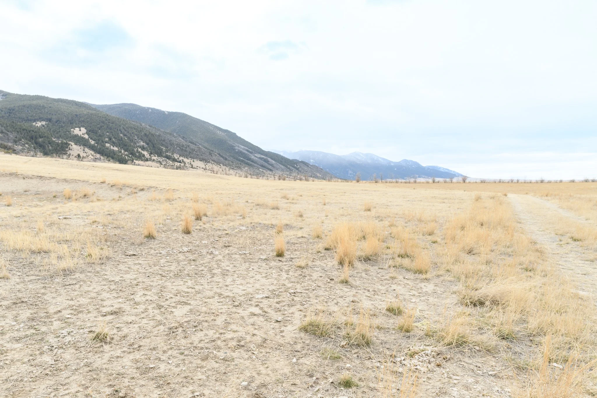 TBD Point of Rocks Rd, Whitehall MT- March 2026 (15).JPG